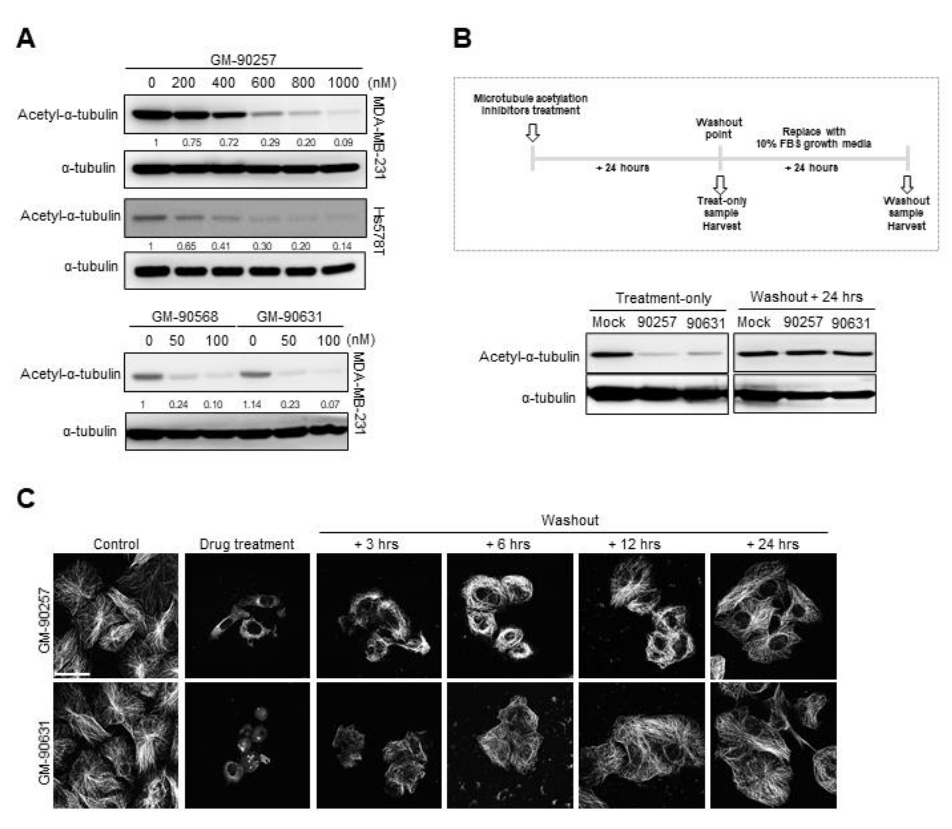 Biomedicines 08 00338 g002 Biomedicines 08 00338 g002