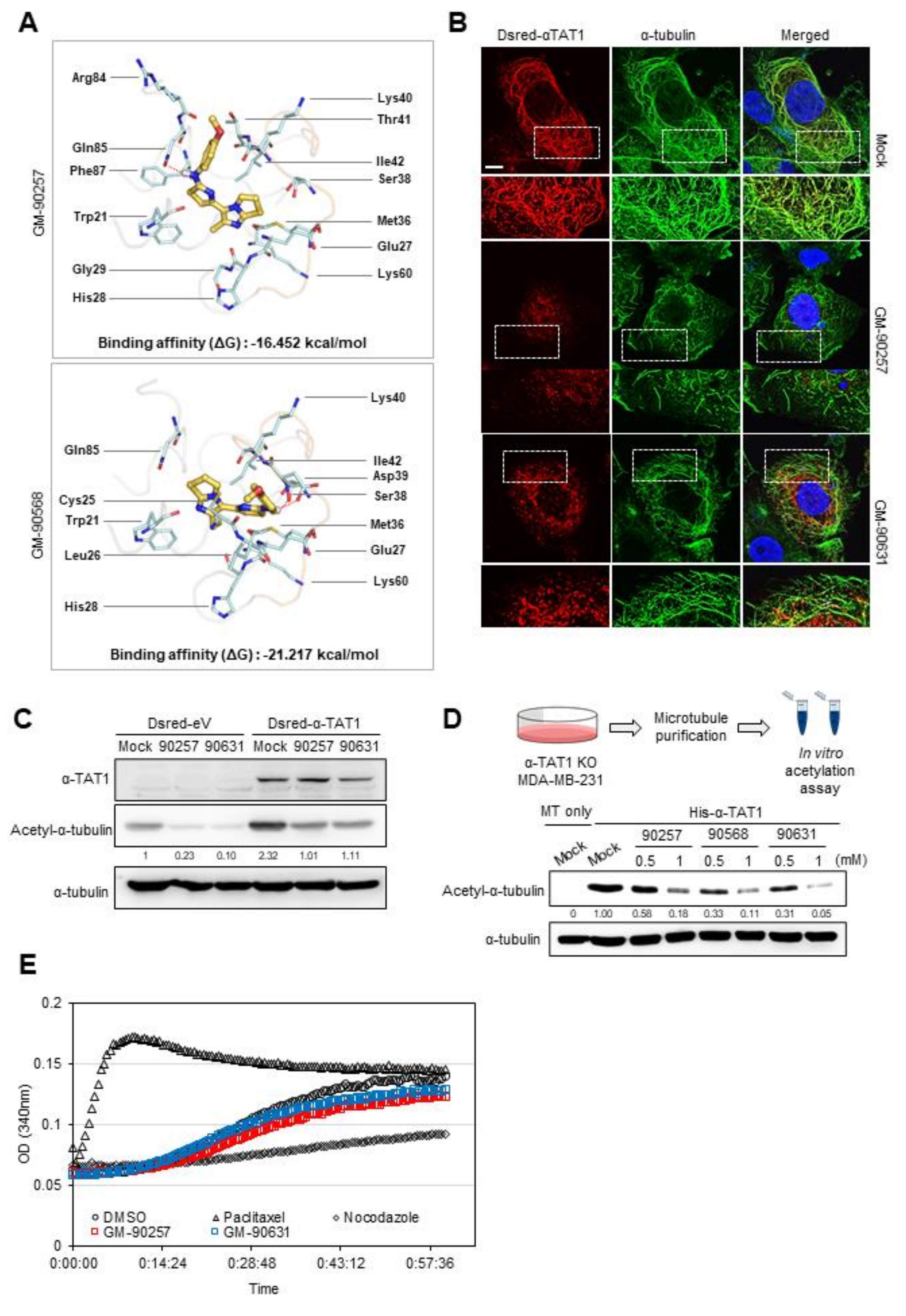 Biomedicines 08 00338 g003 Biomedicines 08 00338 g003