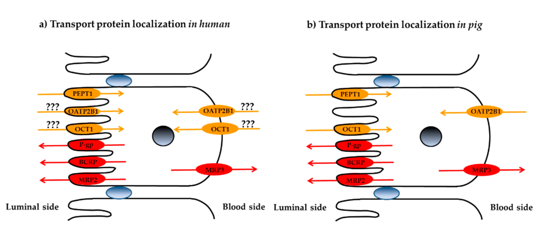 Biomedicines 08 00340 g005 Biomedicines 08 00340 g005