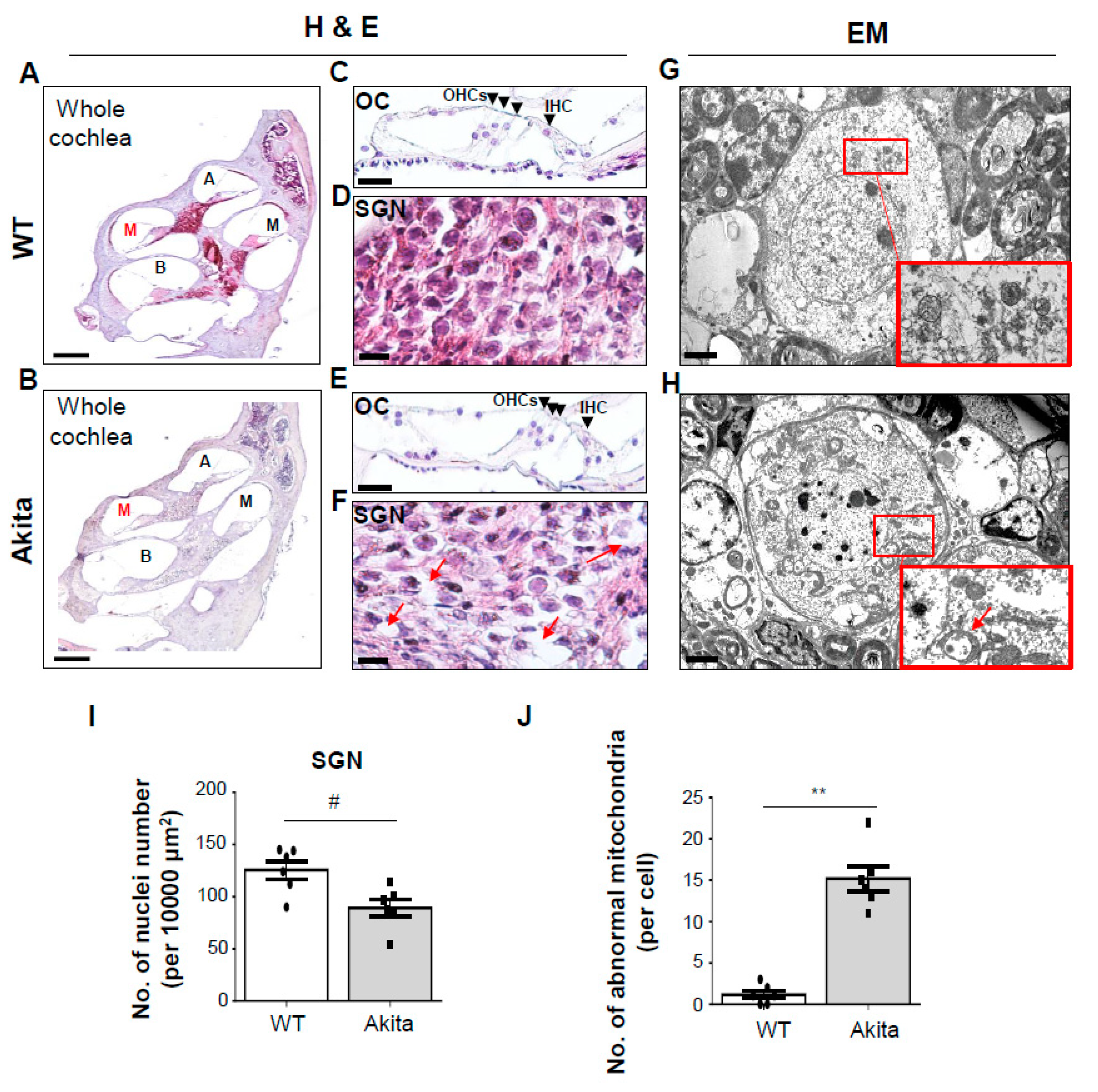 Biomedicines 08 00343 g002 Biomedicines 08 00343 g002