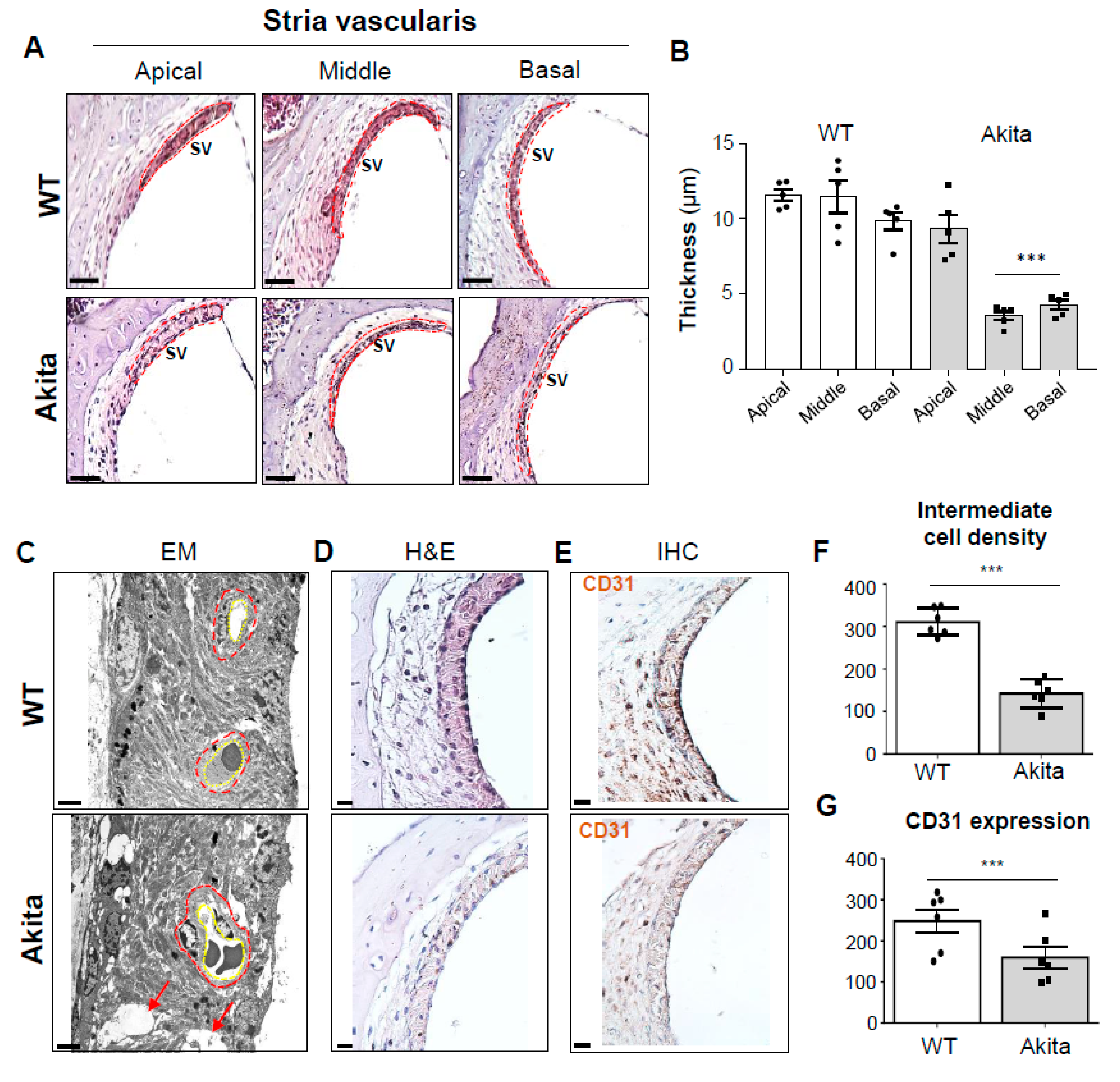 Biomedicines 08 00343 g003 Biomedicines 08 00343 g003