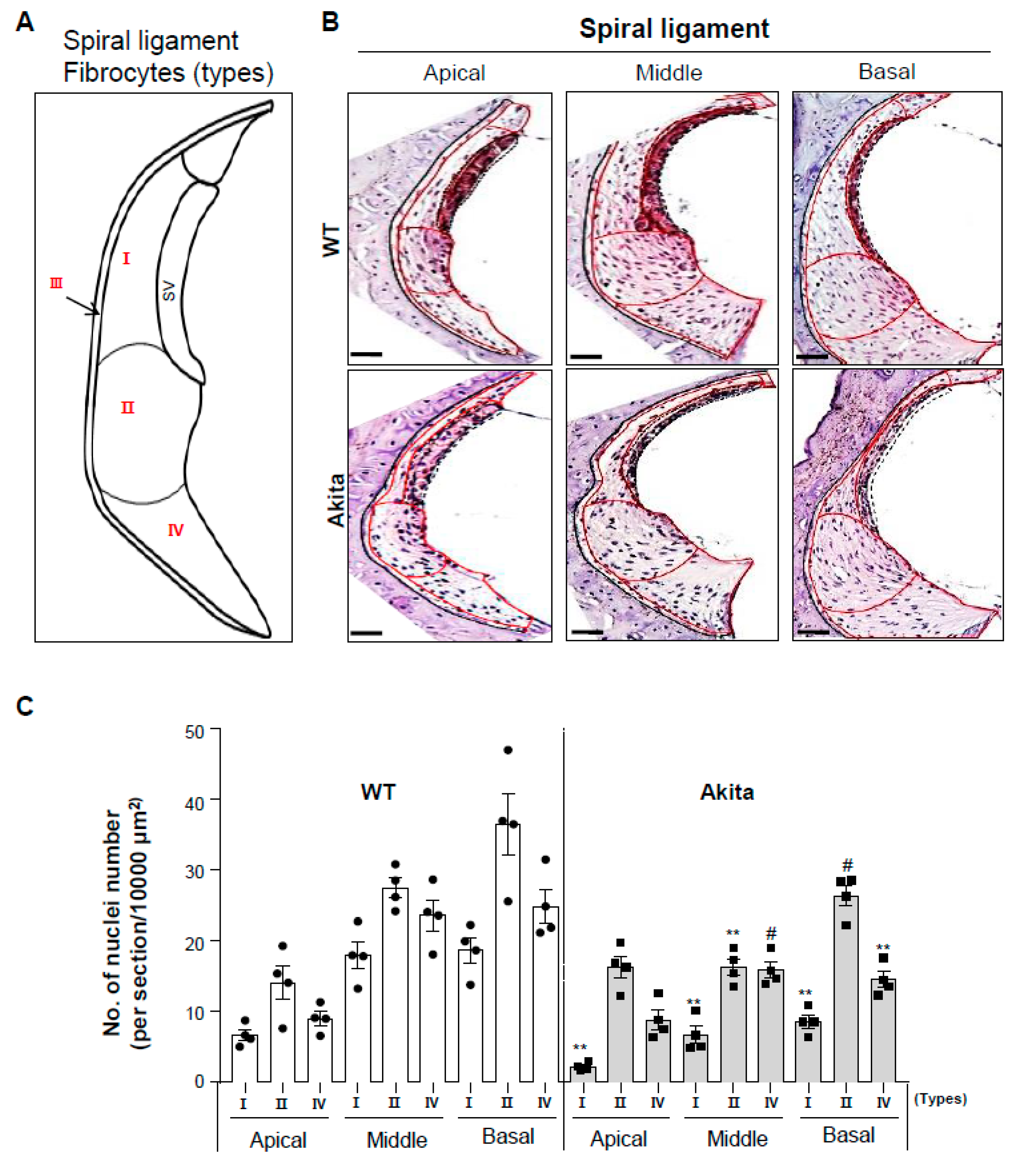 Biomedicines 08 00343 g004 Biomedicines 08 00343 g004