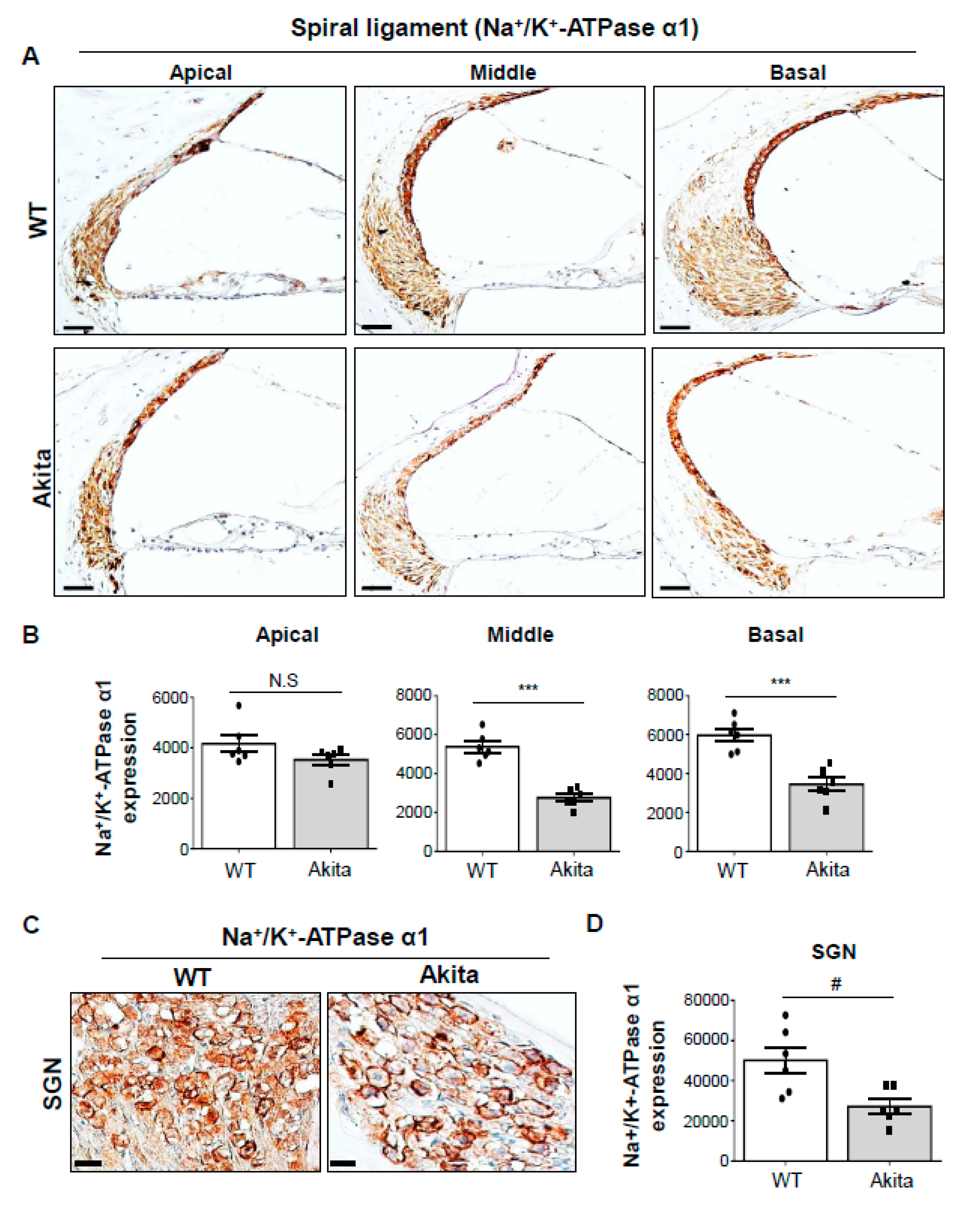 Biomedicines 08 00343 g005 Biomedicines 08 00343 g005