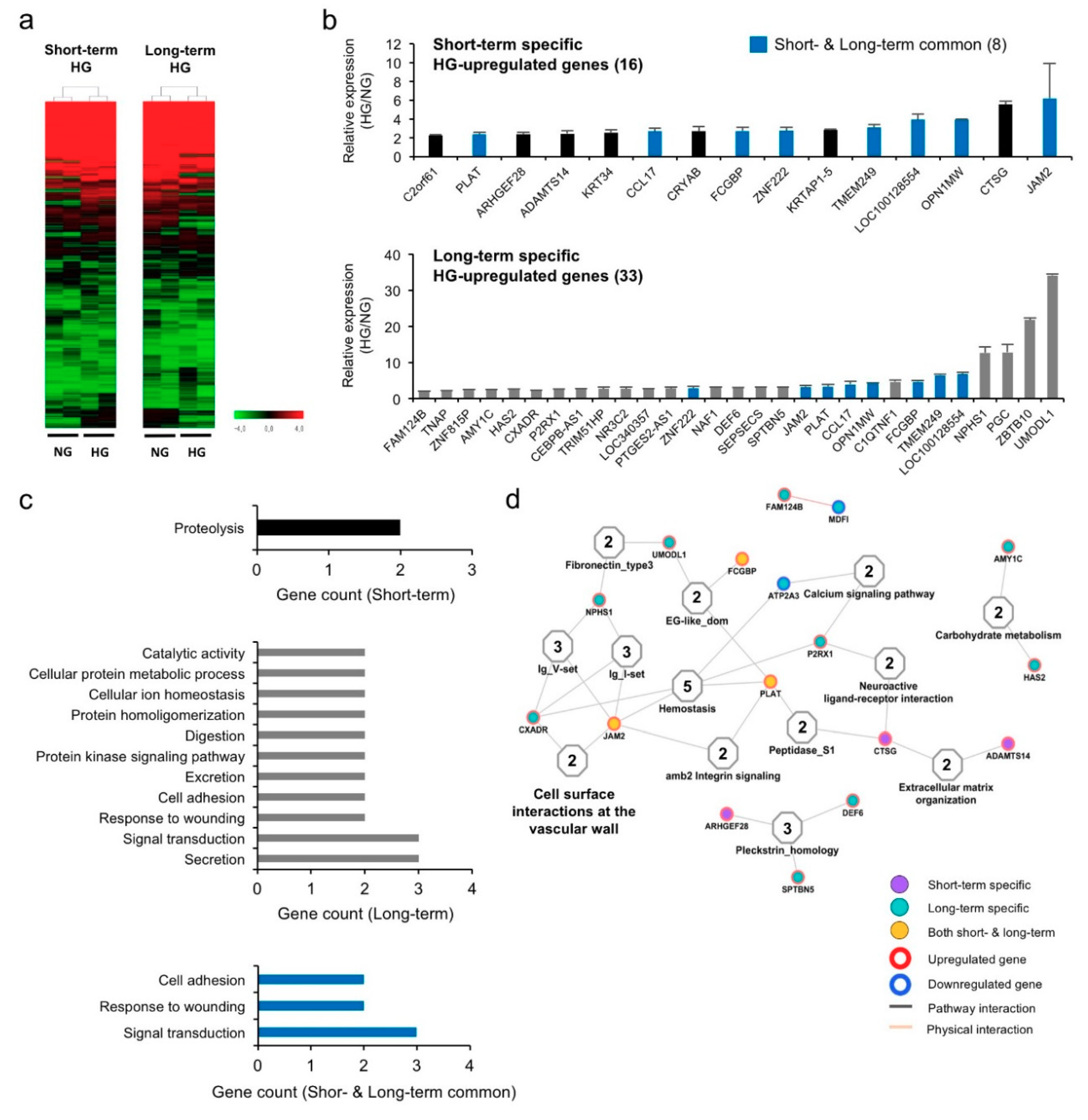 Biomedicines 08 00346 g002