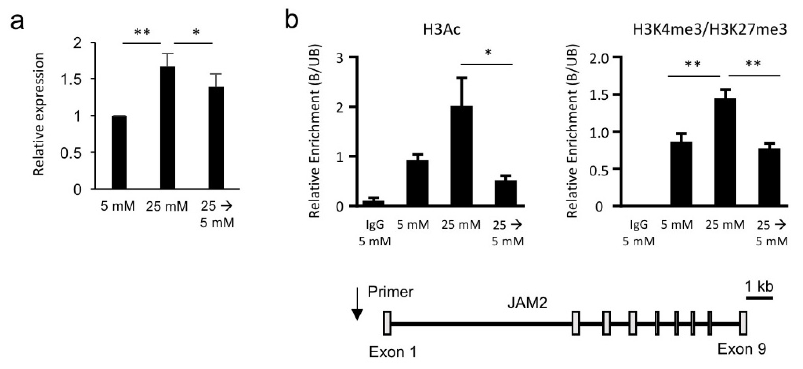 Biomedicines 08 00346 g003