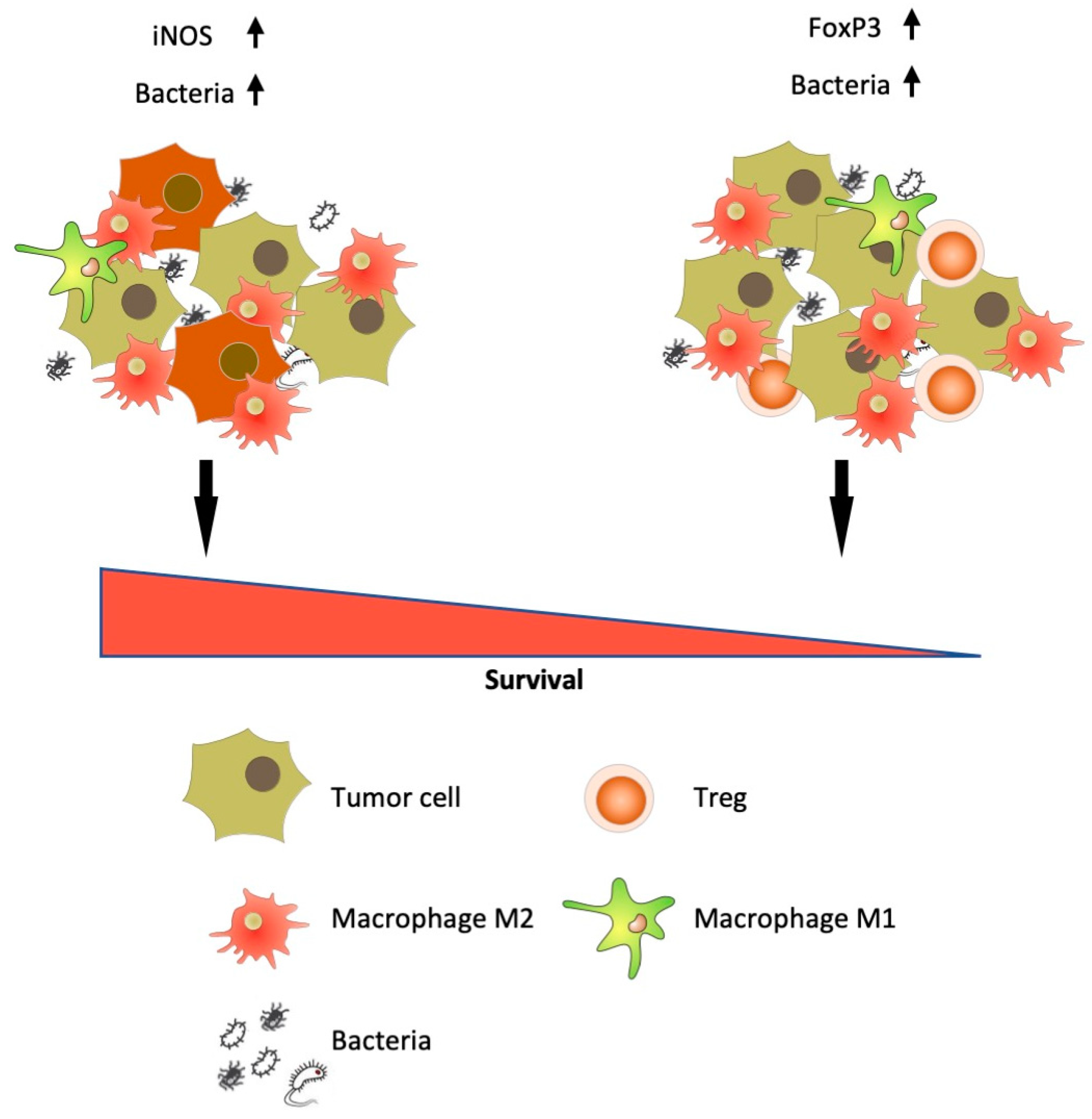 Biomedicines 08 00349 g010 Biomedicines 08 00349 g010