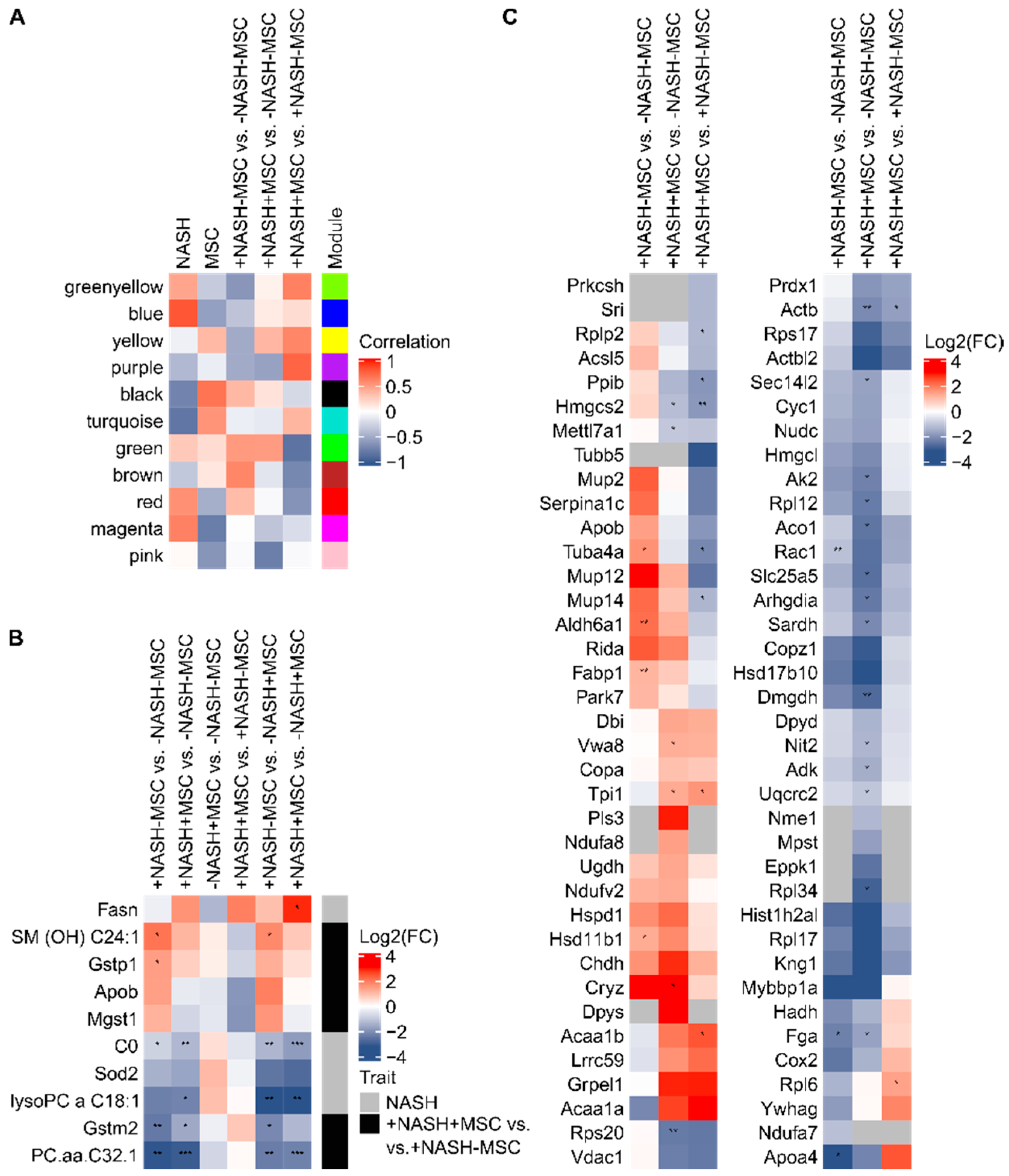 Biomedicines 08 00350 g001
