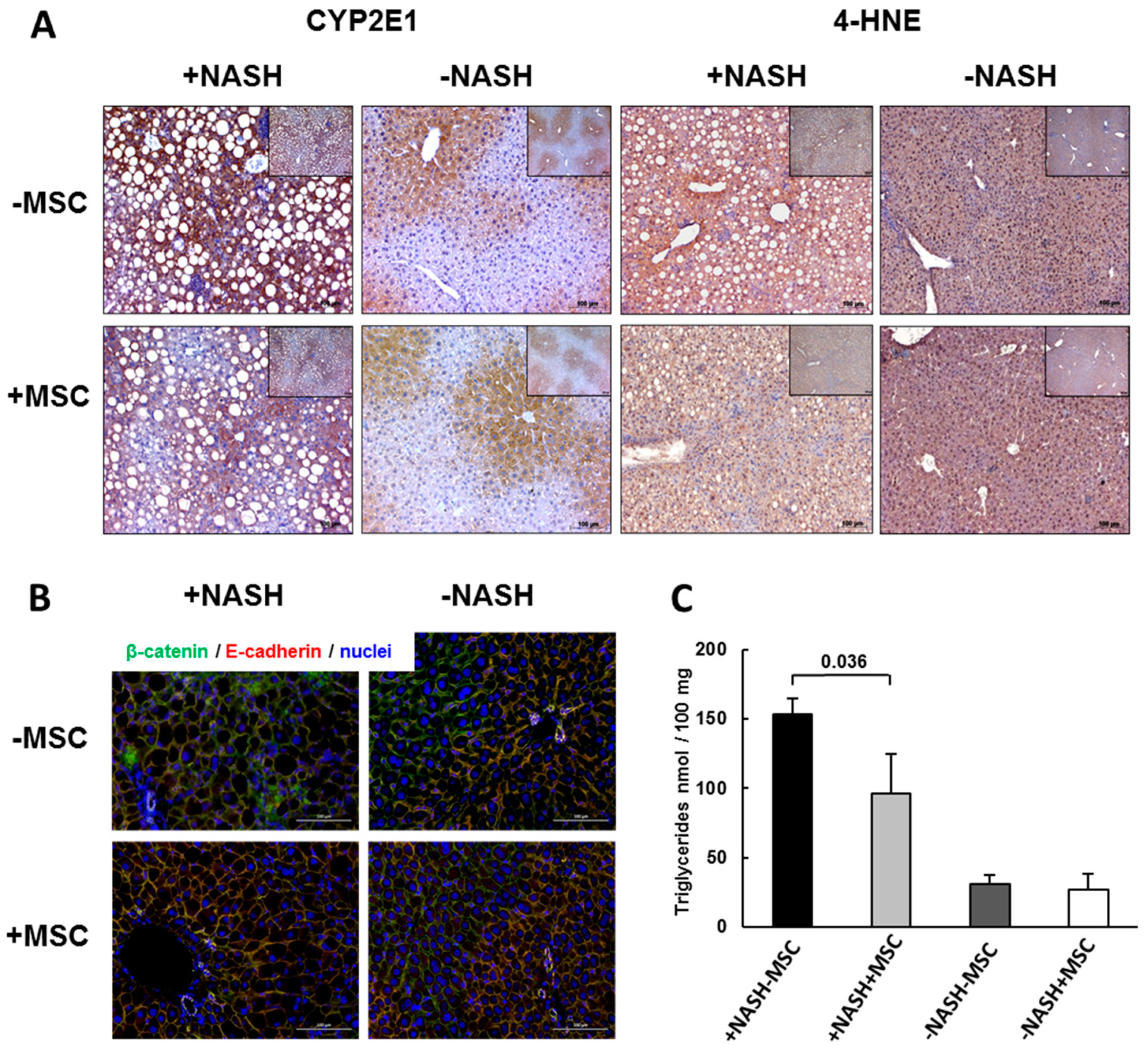 Biomedicines 08 00350 g003