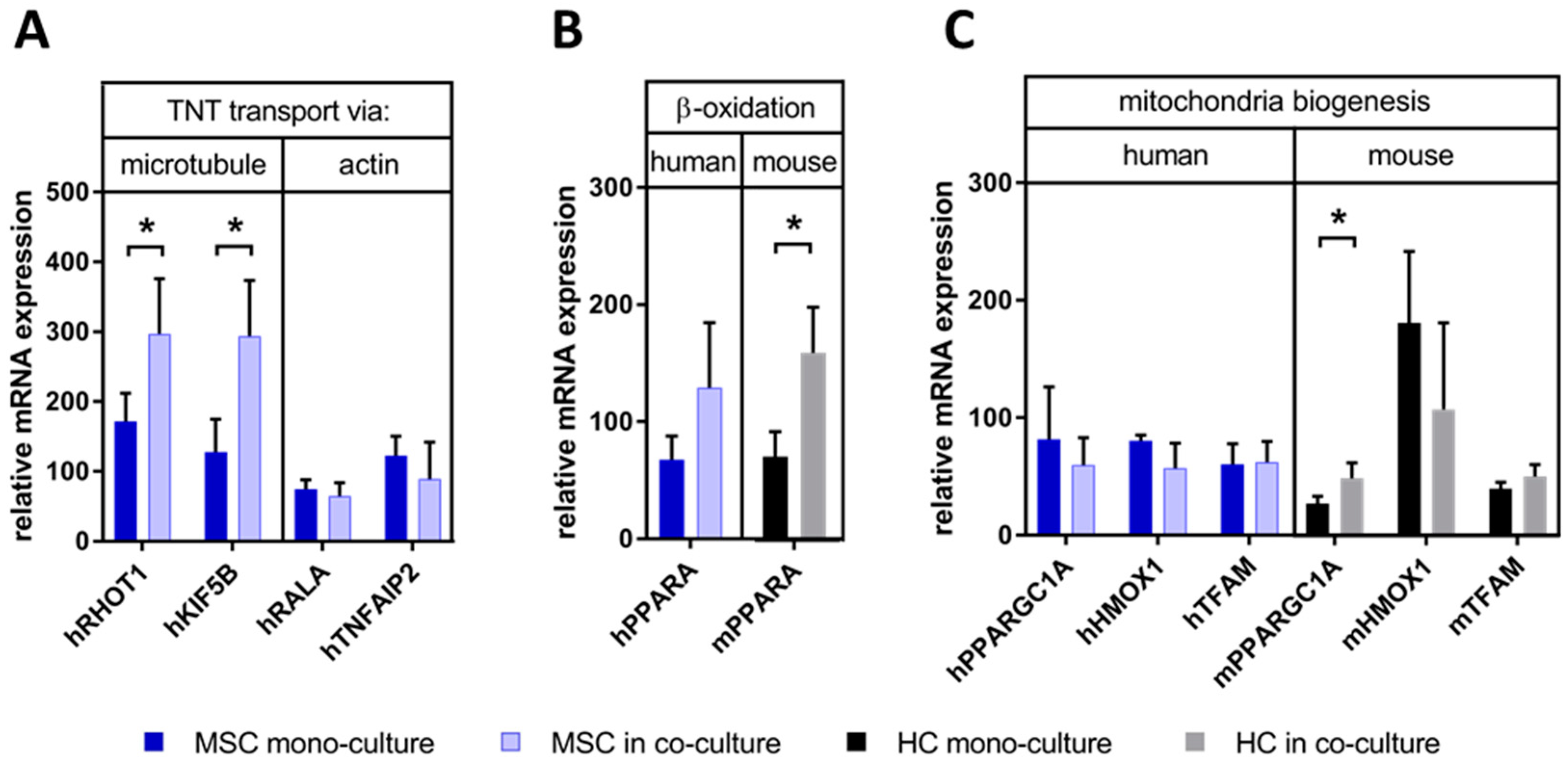 Biomedicines 08 00350 g007