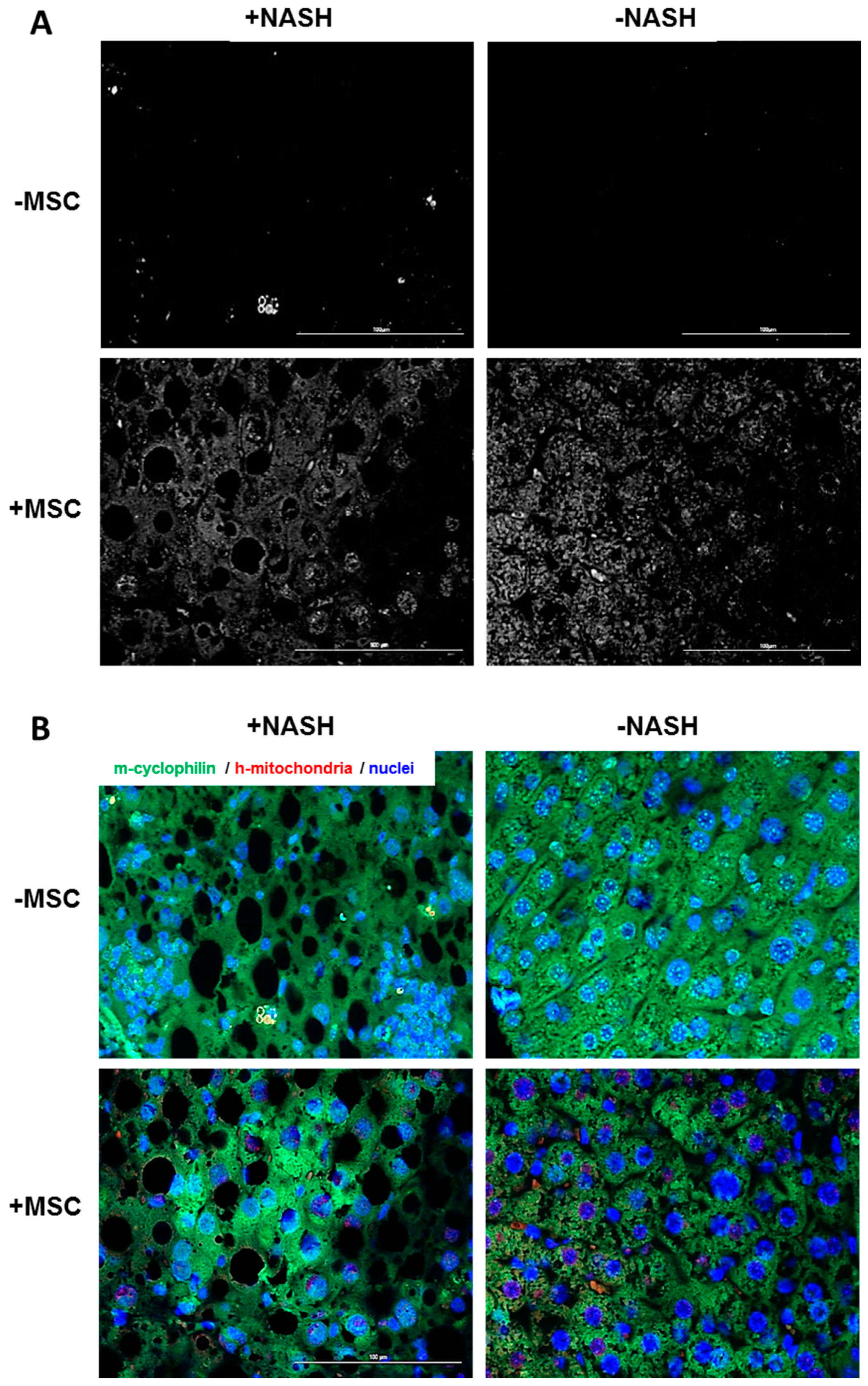 Biomedicines 08 00350 g009