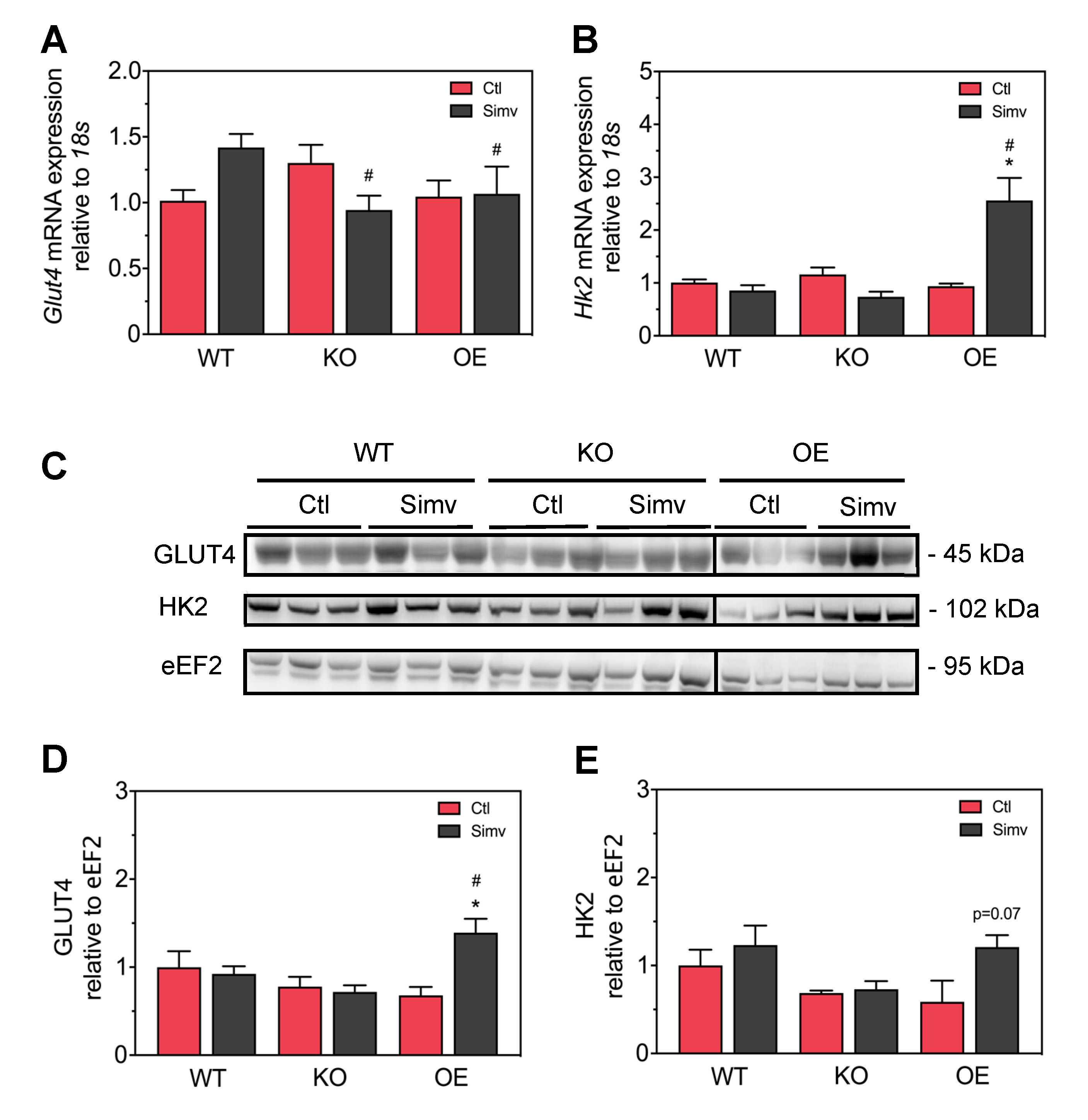 Biomedicines 08 00351 g005