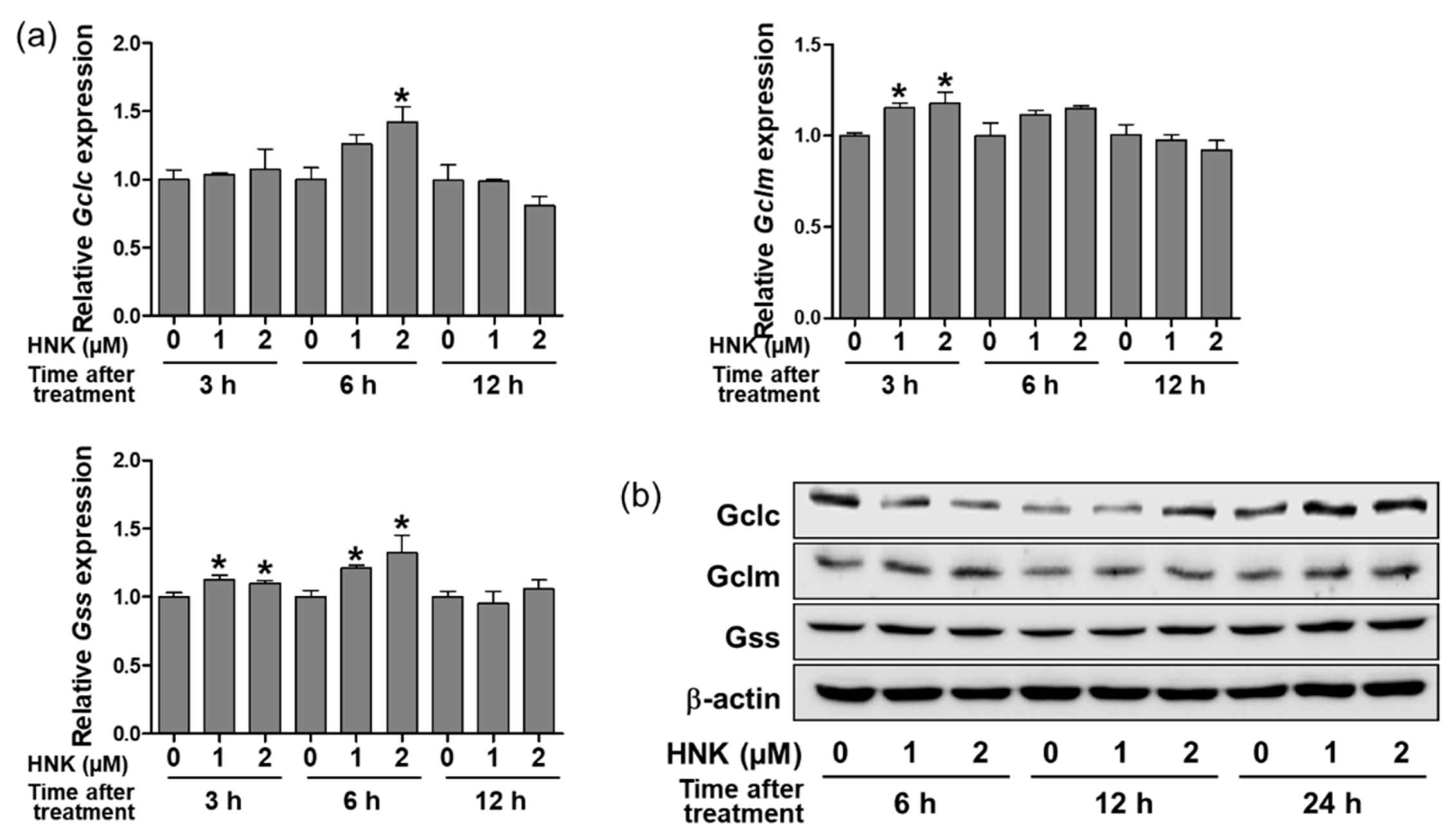 Biomedicines 08 00352 g002 Biomedicines 08 00352 g002
