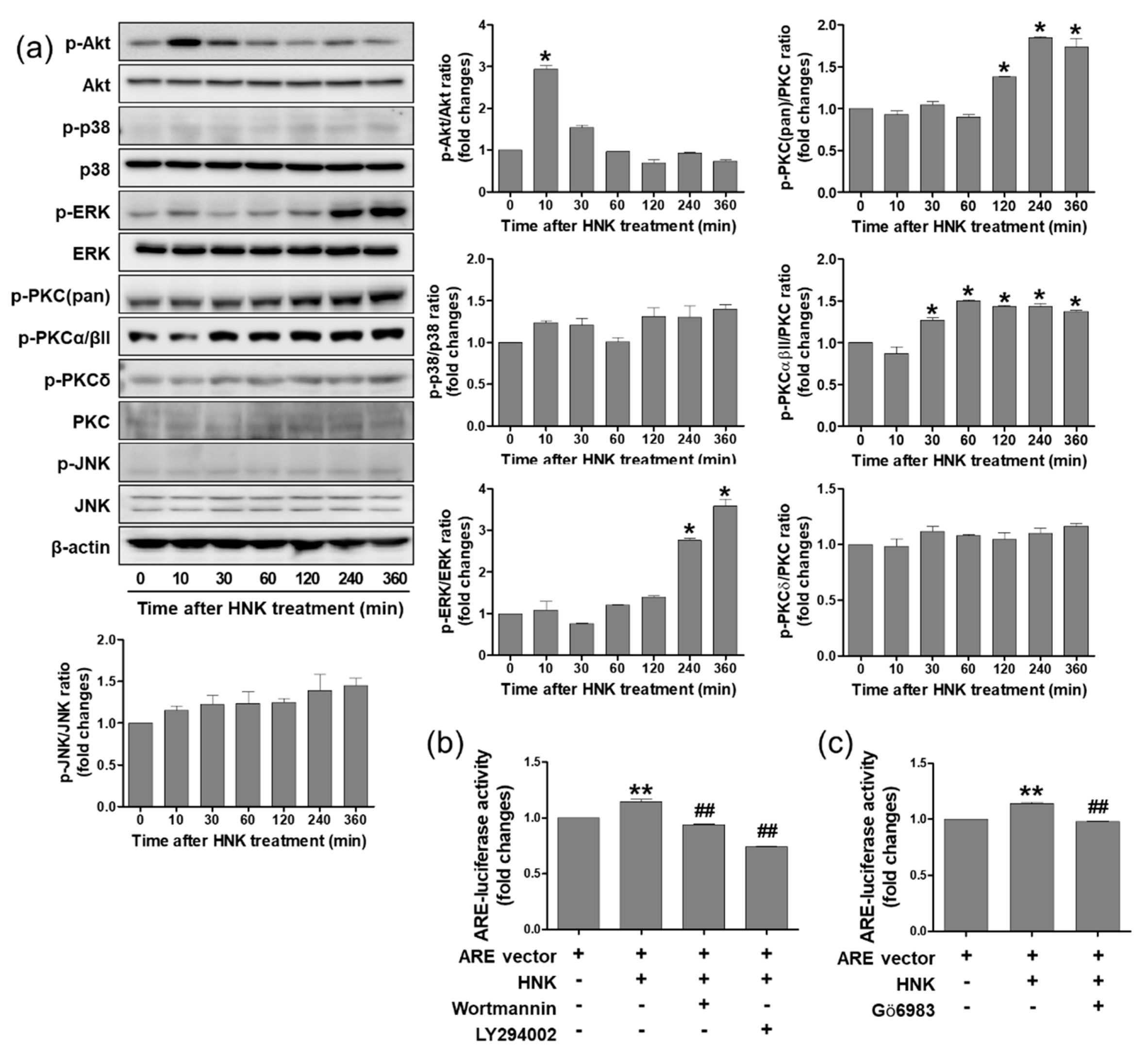 Biomedicines 08 00352 g004 Biomedicines 08 00352 g004