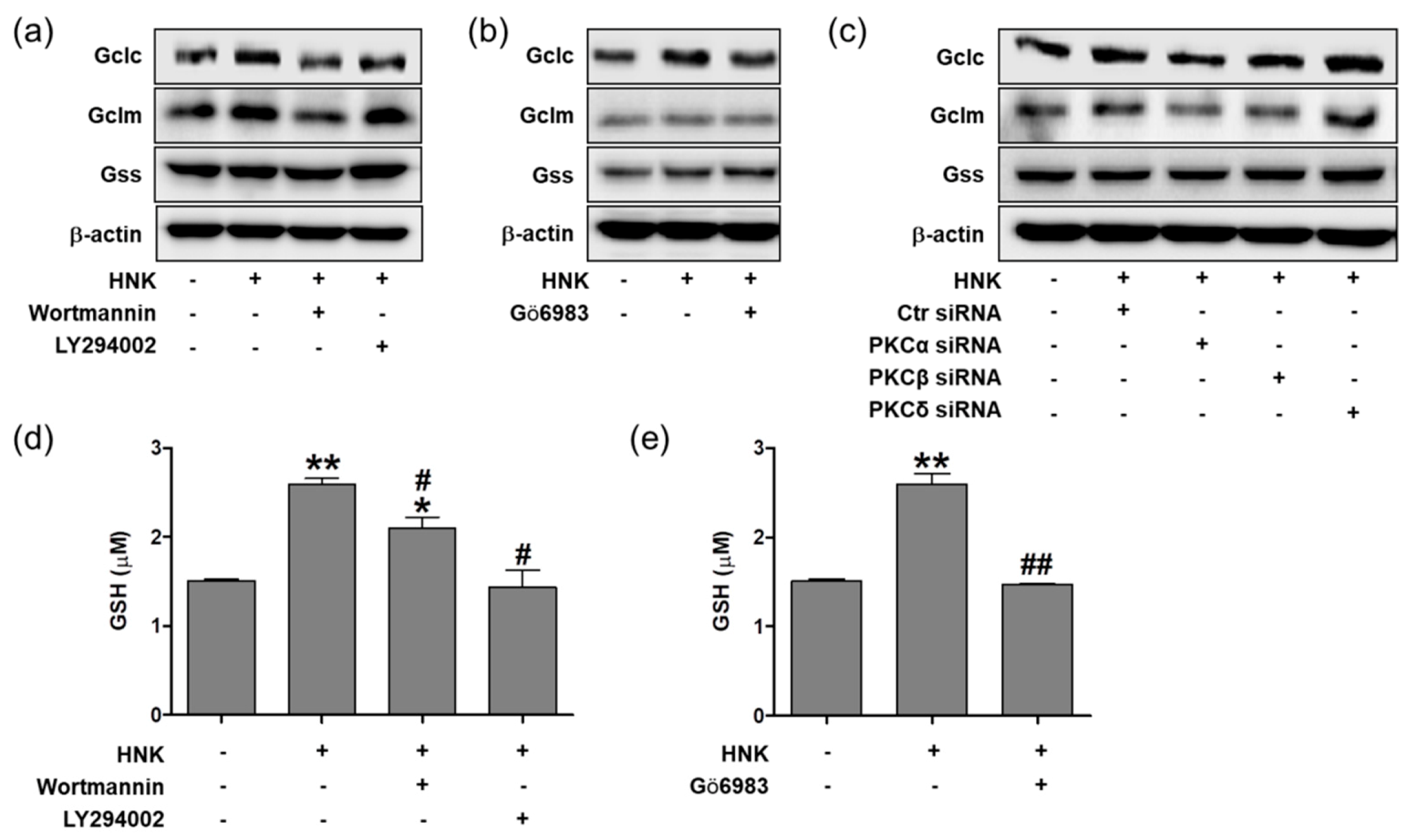 Biomedicines 08 00352 g005 Biomedicines 08 00352 g005