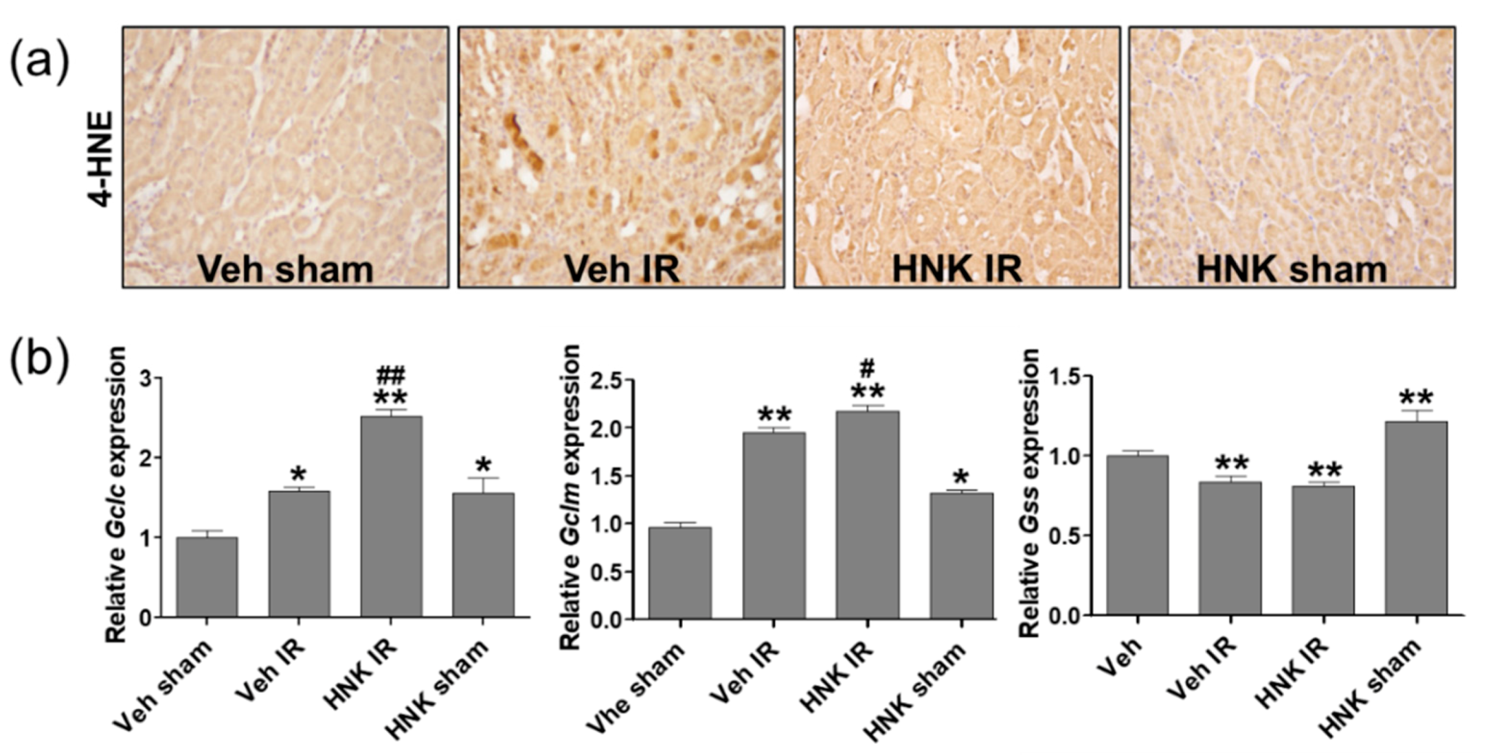 Biomedicines 08 00352 g007a Biomedicines 08 00352 g007a