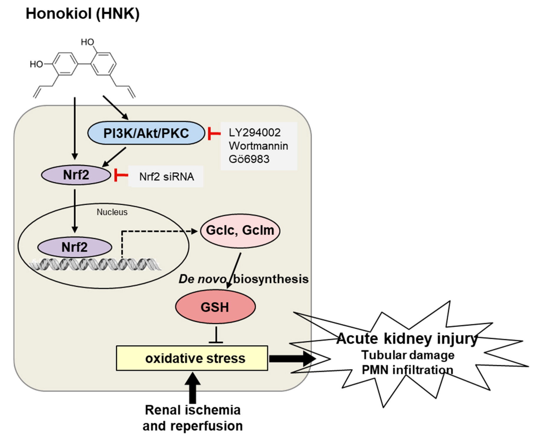 Biomedicines 08 00352 g008 Biomedicines 08 00352 g008