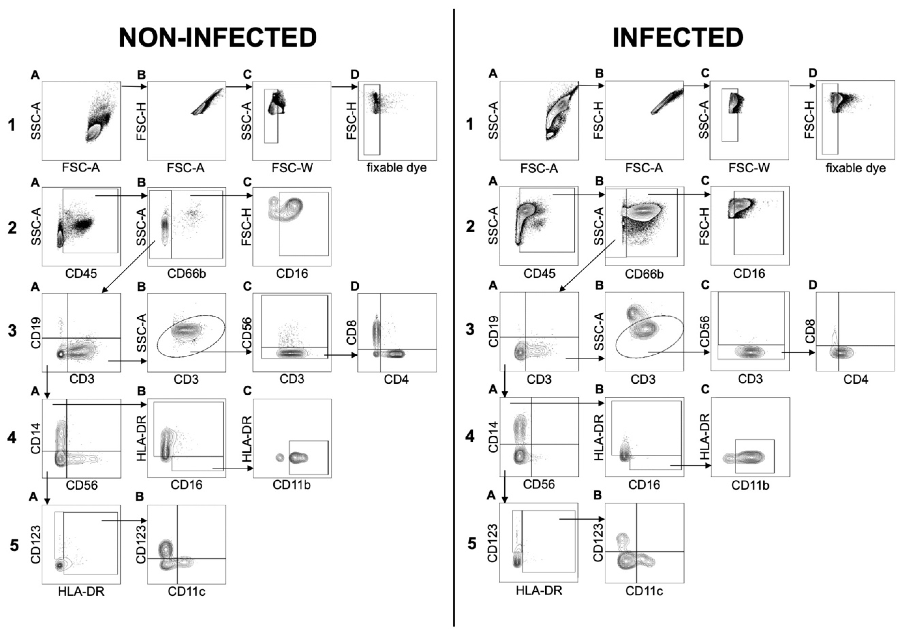 Biomedicines 08 00358 g003