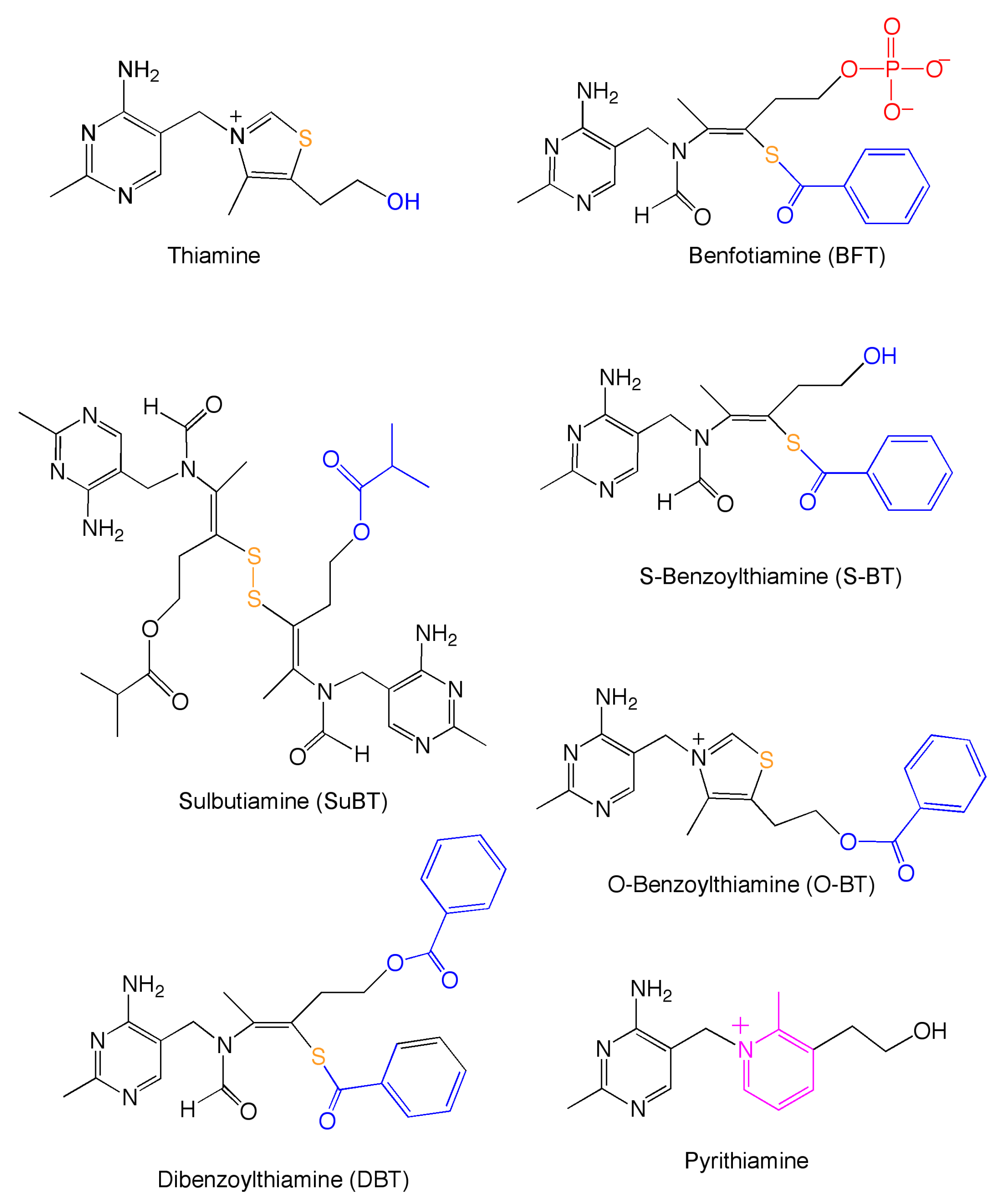 Biomedicines 08 00361 g001 Biomedicines 08 00361 g001