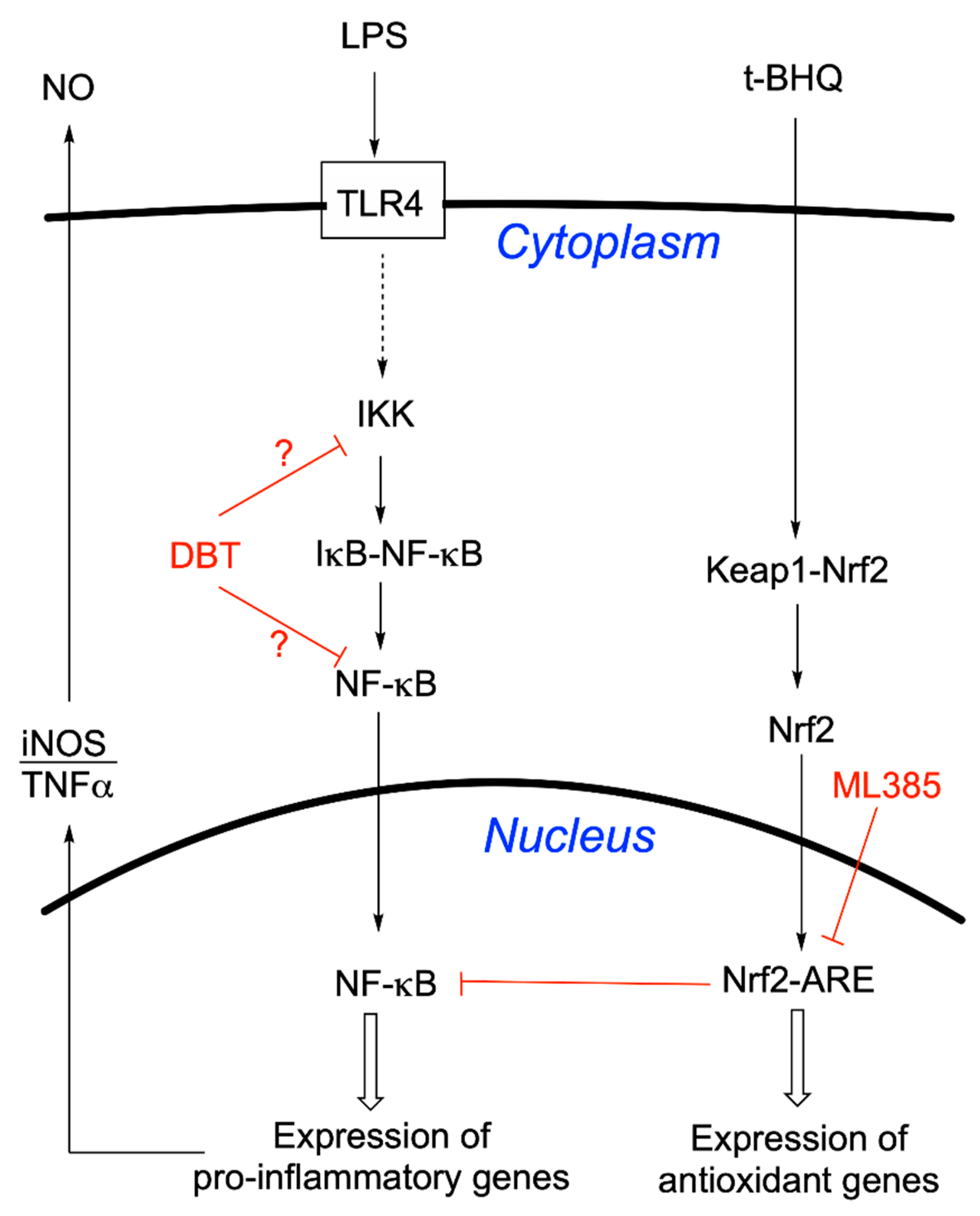 Biomedicines 08 00361 g017 Biomedicines 08 00361 g017