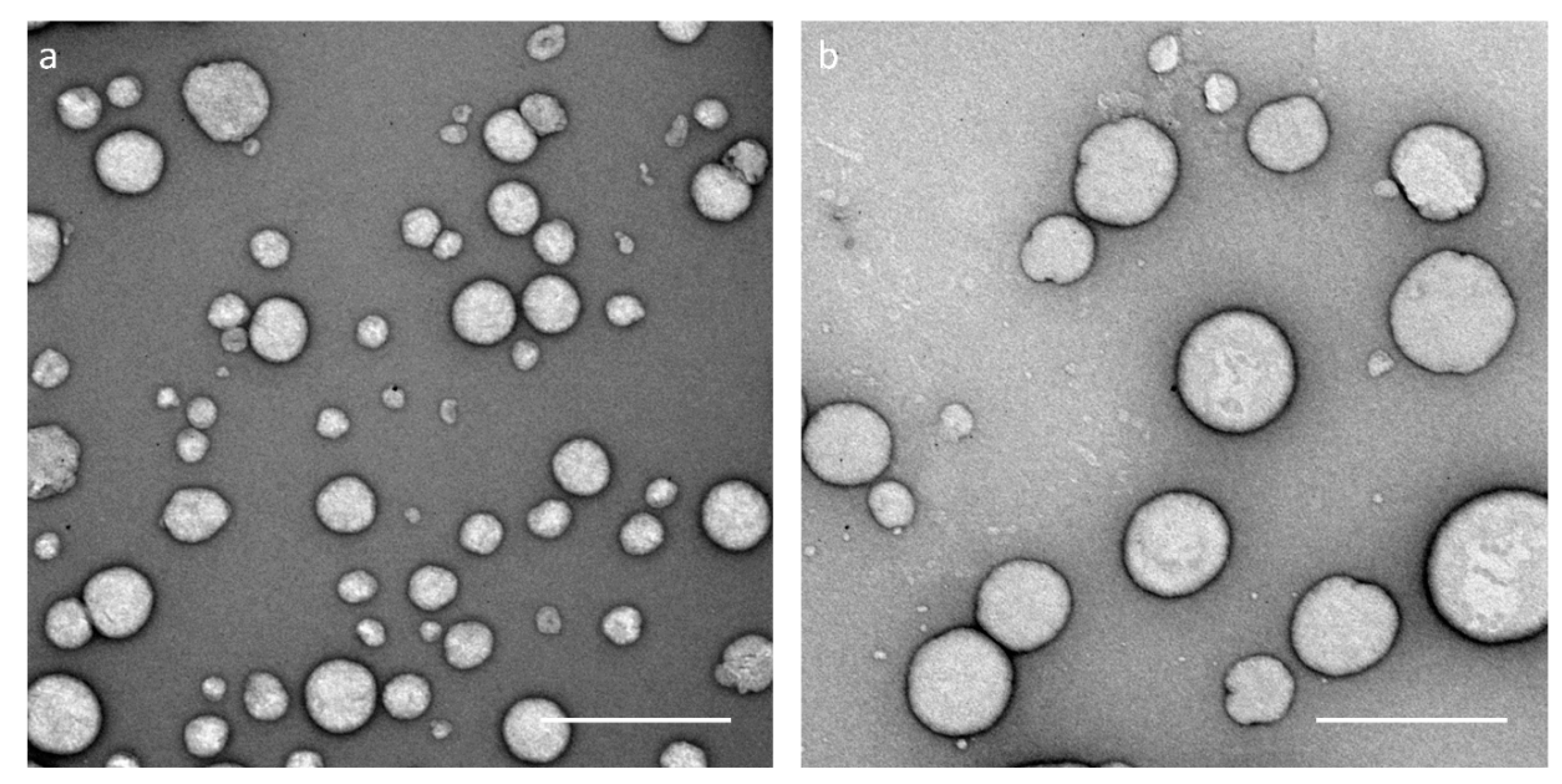 Biomedicines 08 00364 g003 Biomedicines 08 00364 g003