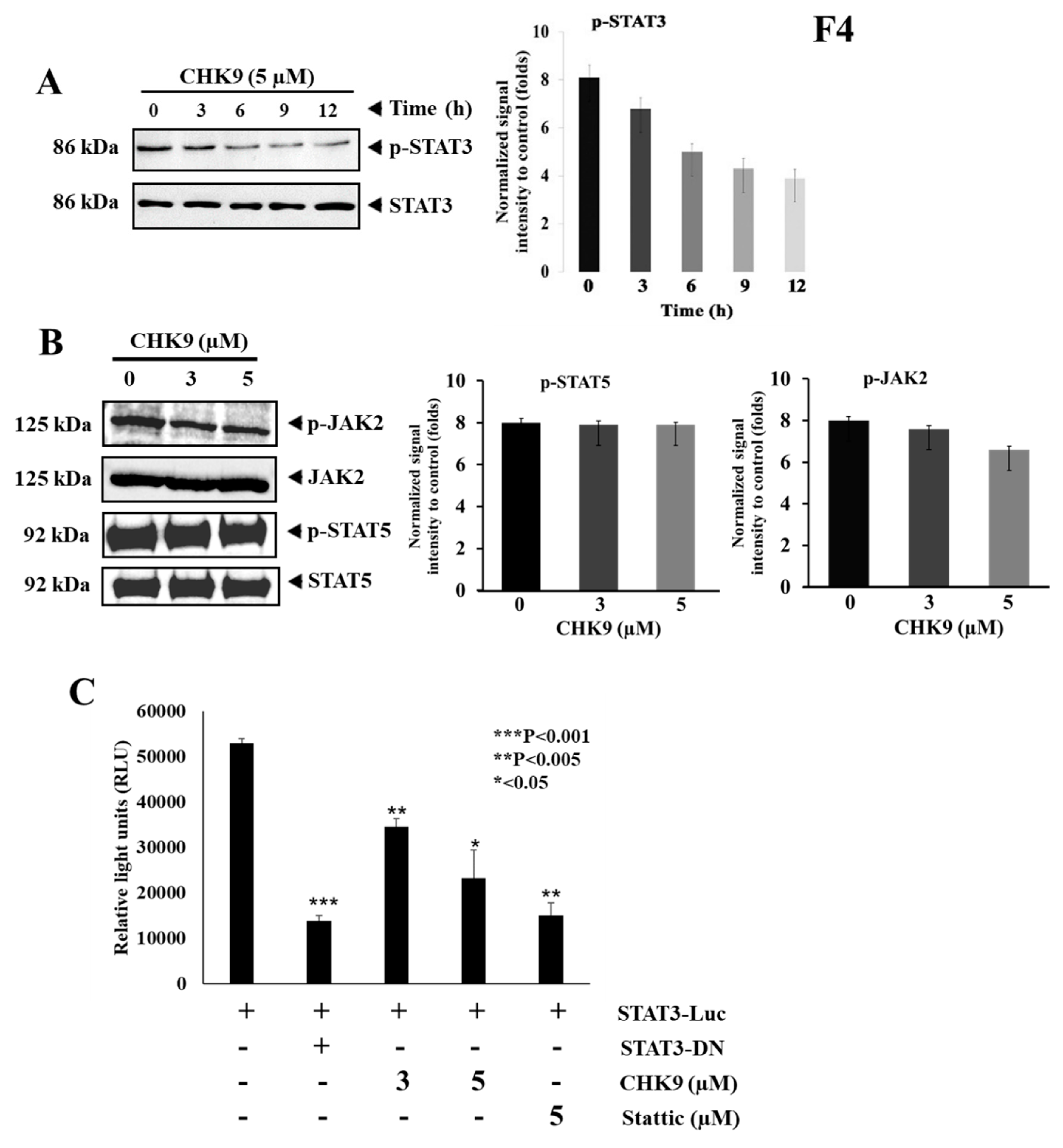 Biomedicines 08 00368 g004 Biomedicines 08 00368 g004