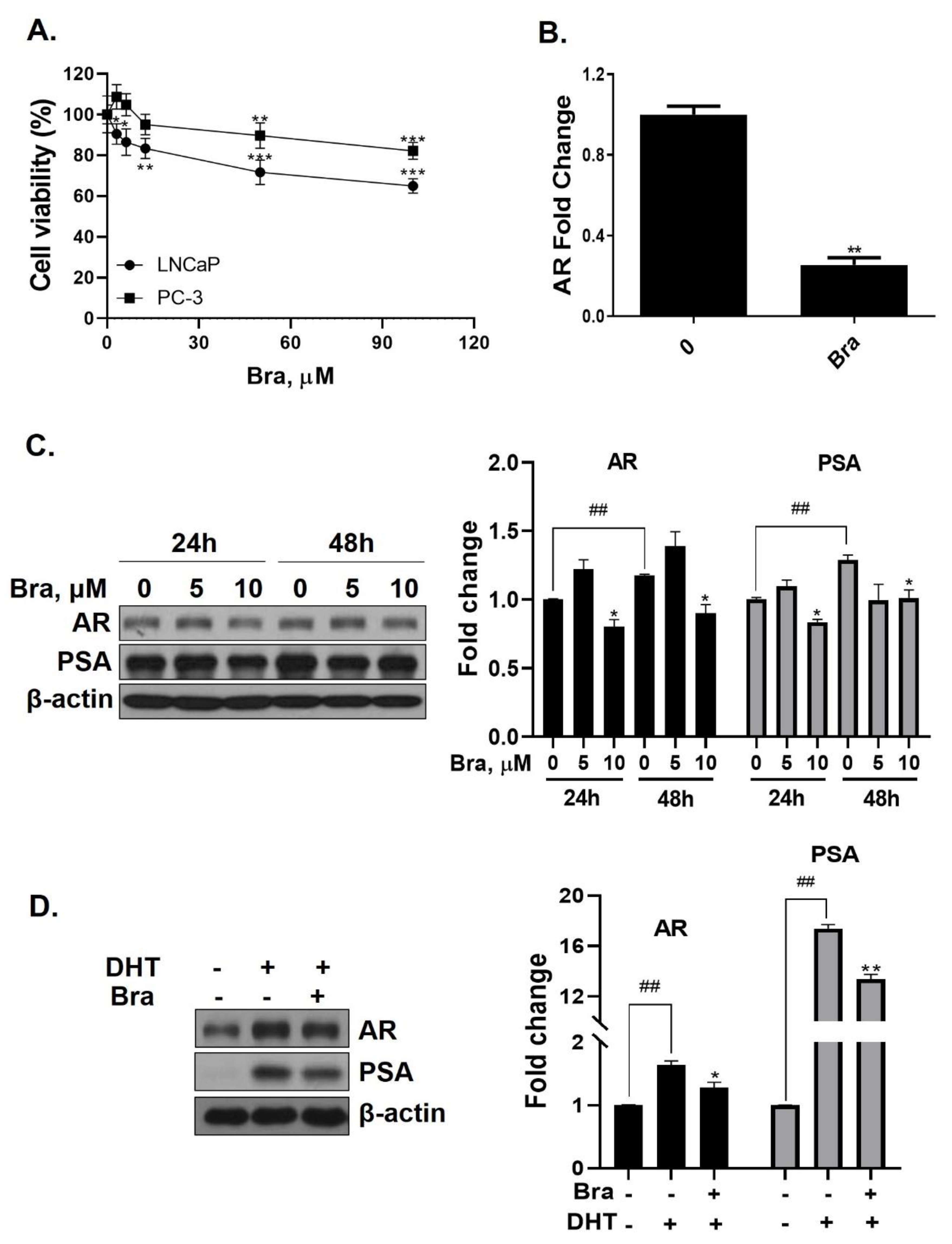 Biomedicines 08 00370 g003