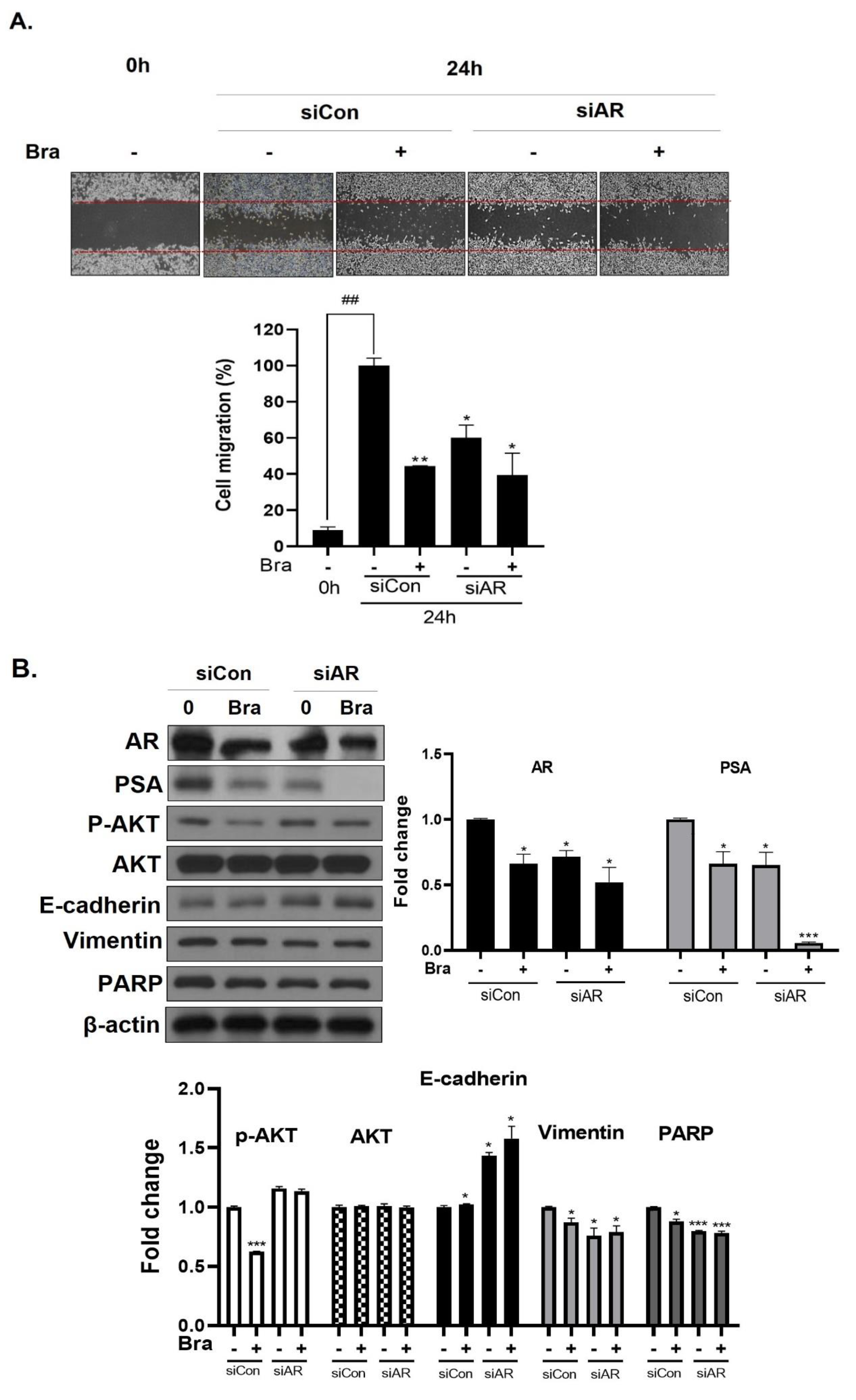 Biomedicines 08 00370 g005