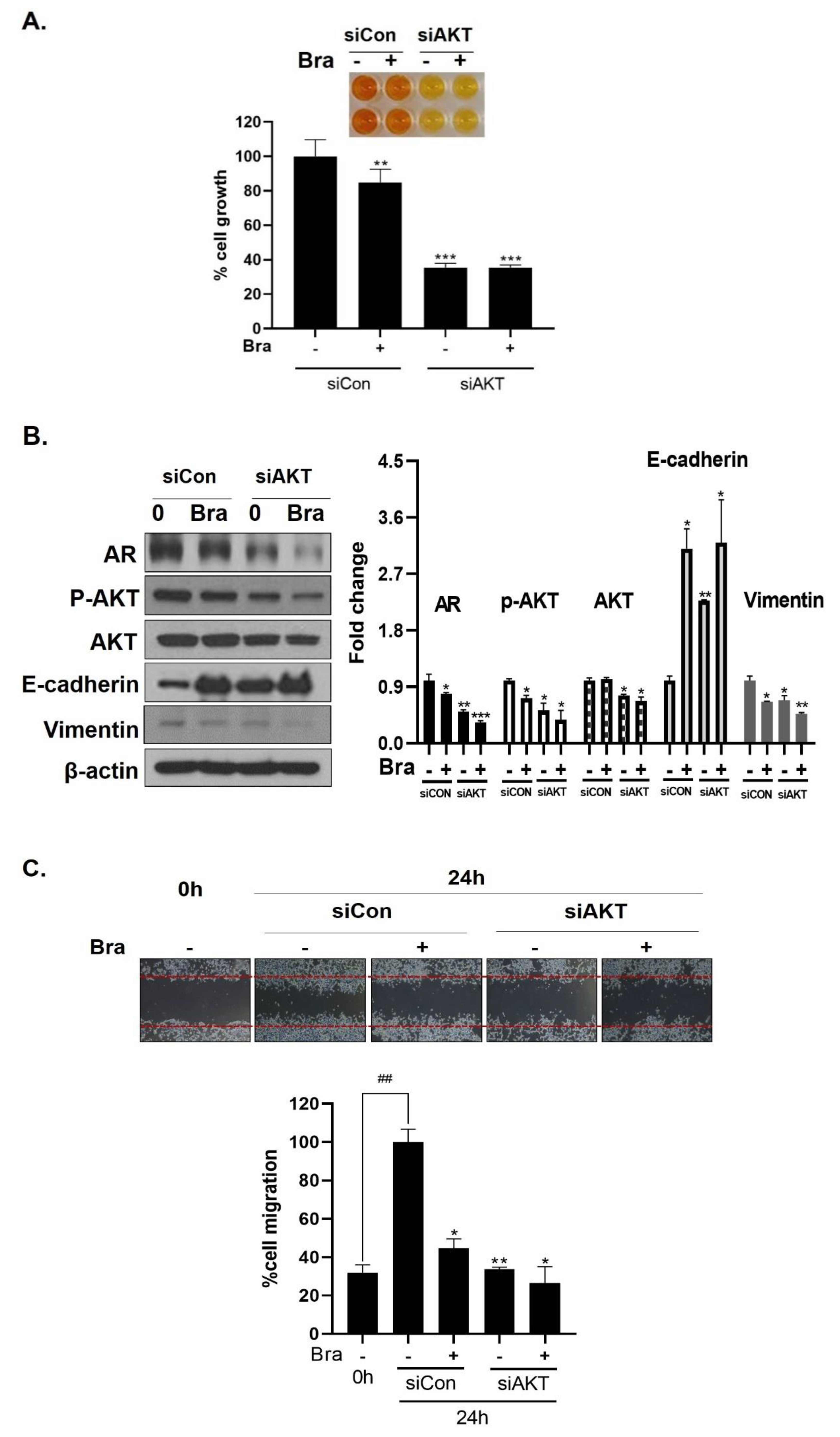 Biomedicines 08 00370 g006a