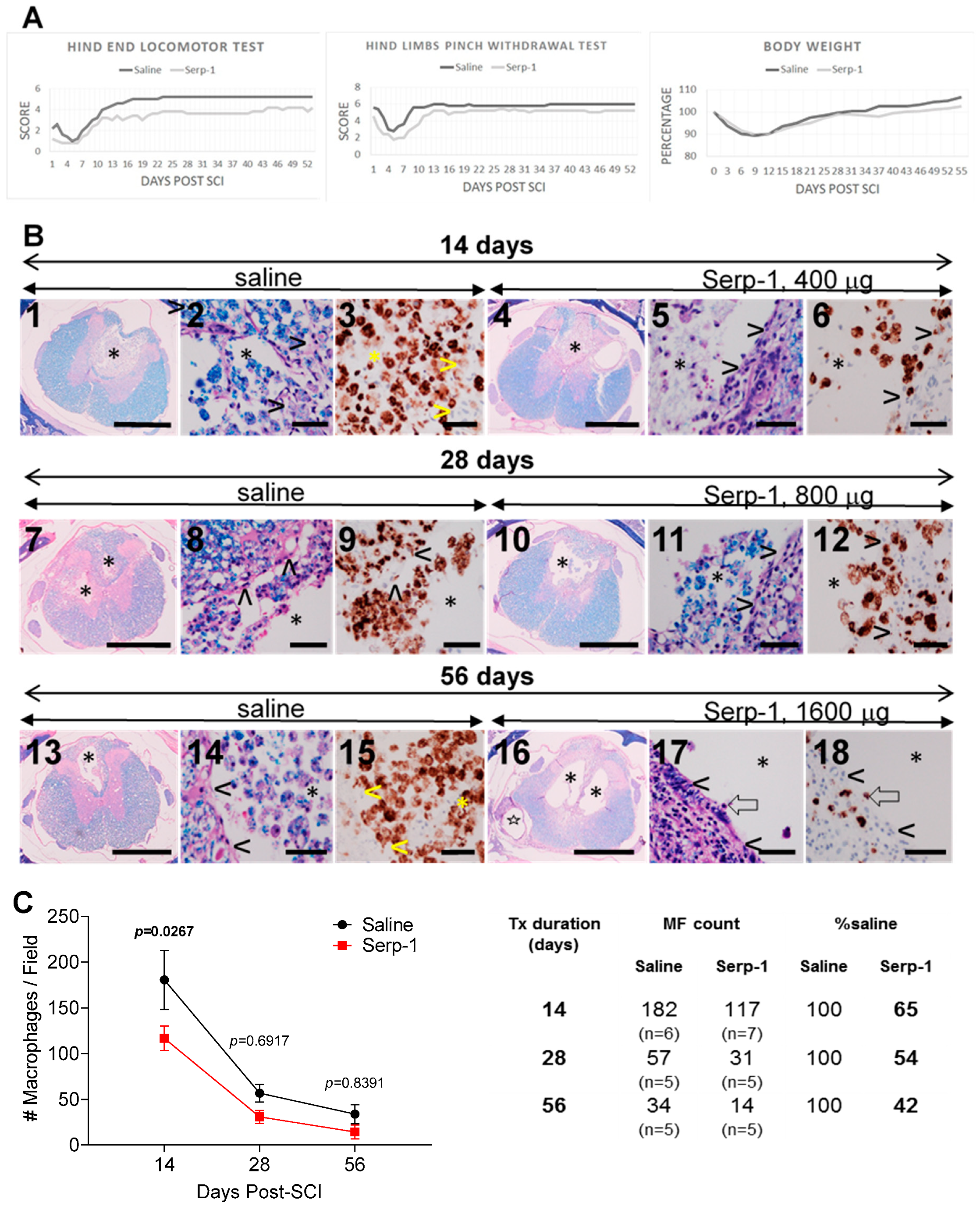 Biomedicines 08 00372 g002 Biomedicines 08 00372 g002