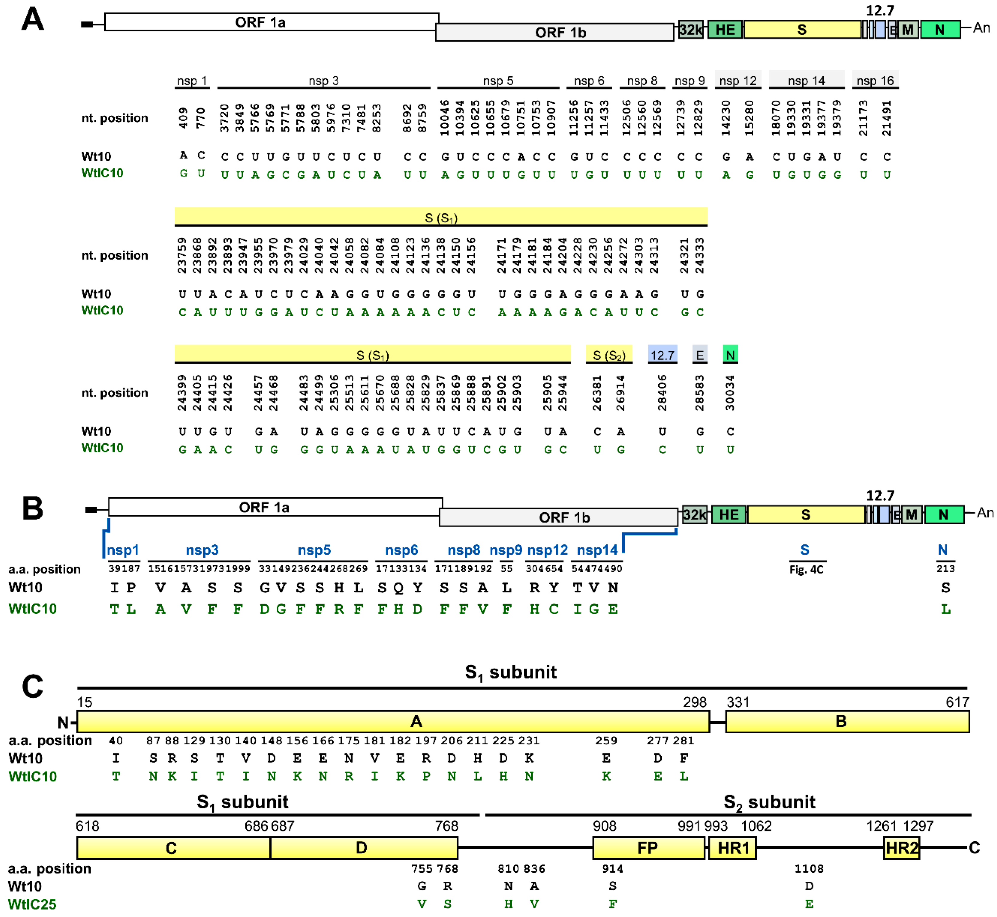 Biomedicines 08 00376 g004