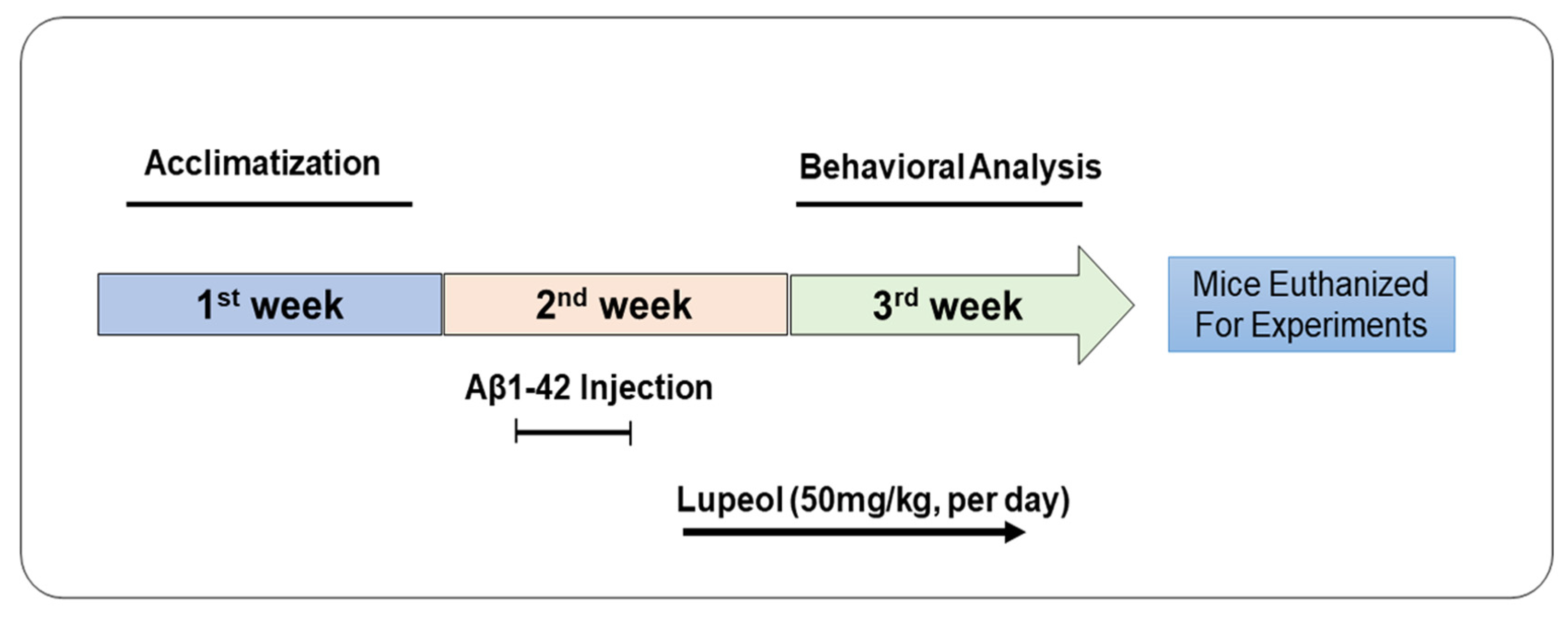 Biomedicines 08 00380 g001 Biomedicines 08 00380 g001