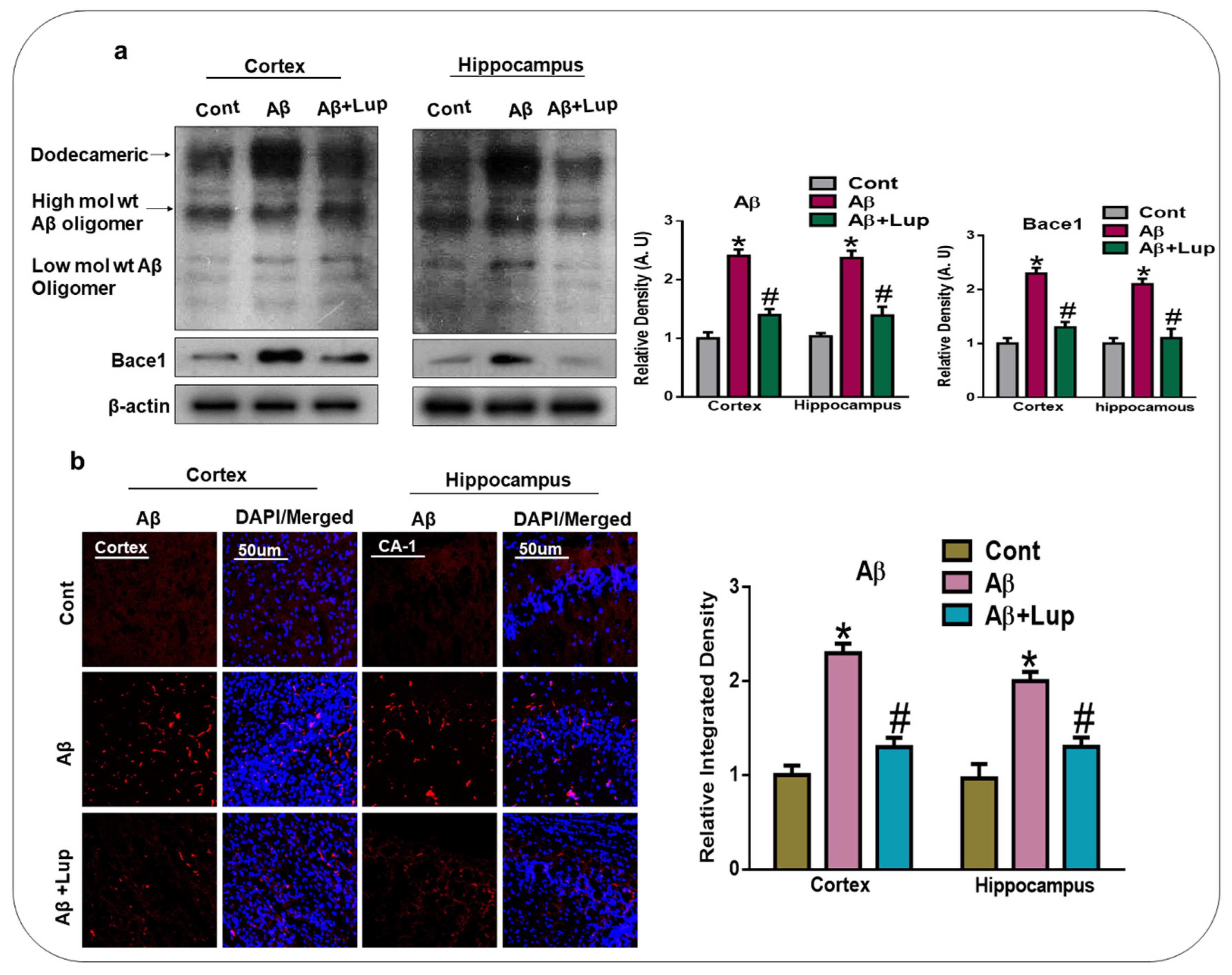 Biomedicines 08 00380 g002 Biomedicines 08 00380 g002