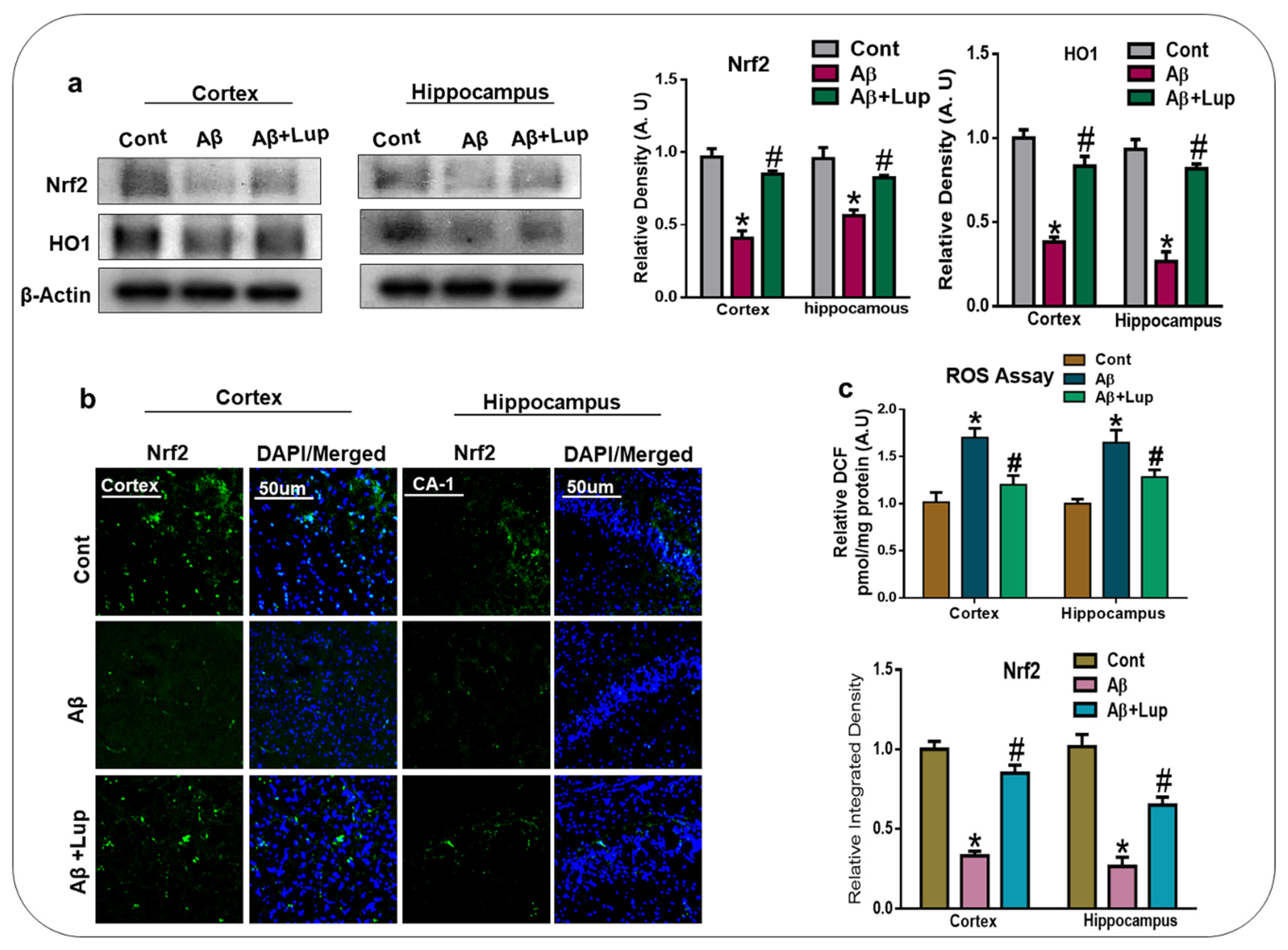 Biomedicines 08 00380 g003 Biomedicines 08 00380 g003