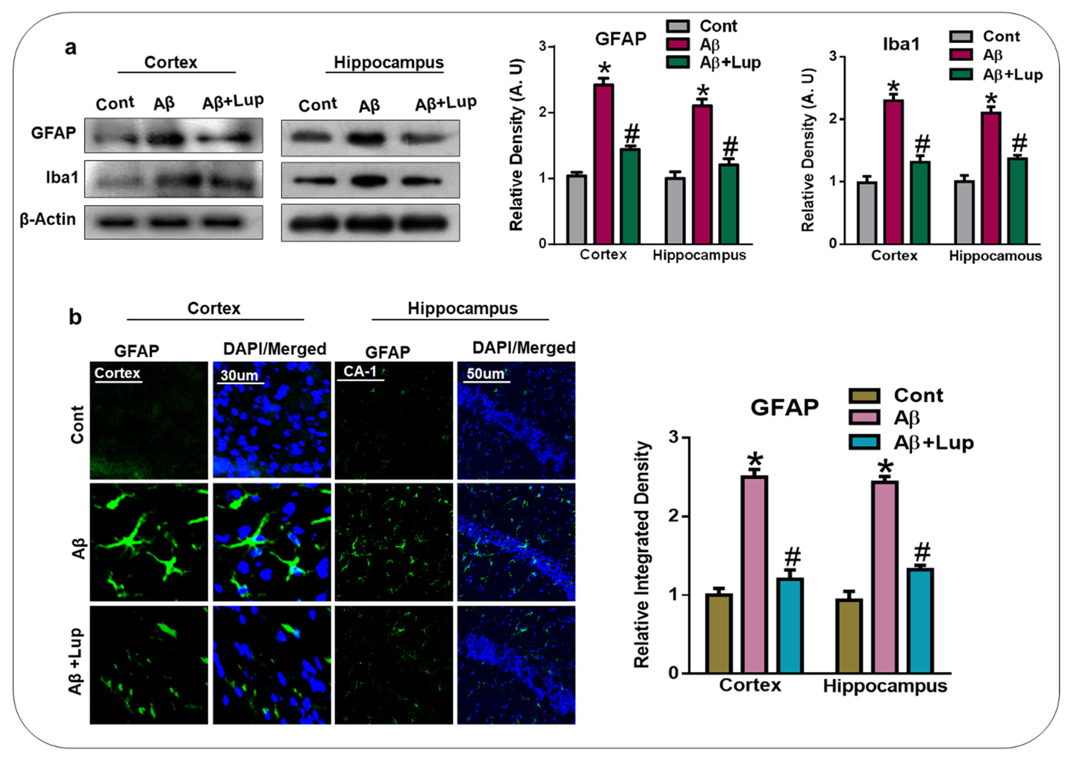 Biomedicines 08 00380 g004 Biomedicines 08 00380 g004