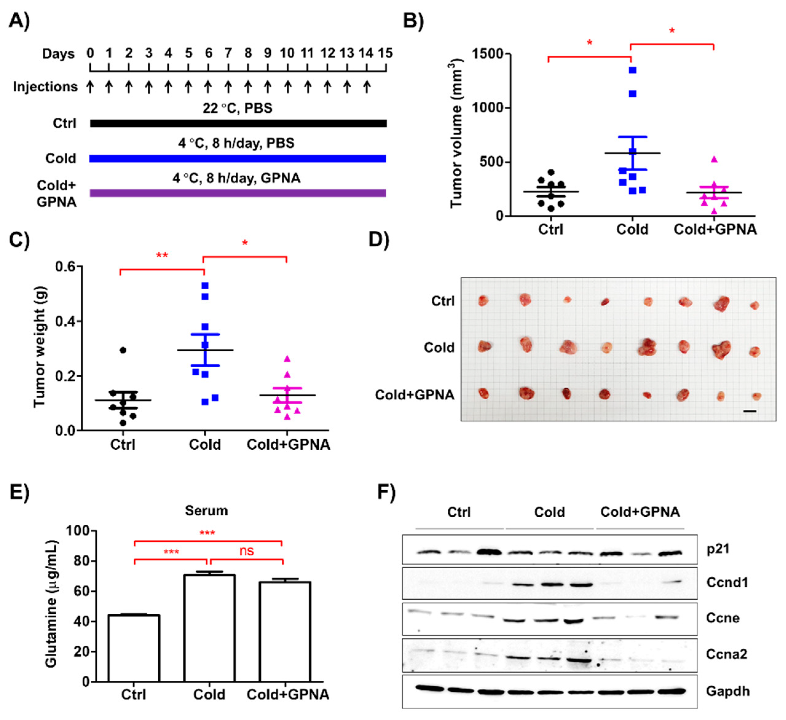 Biomedicines 08 00381 g007 Biomedicines 08 00381 g007