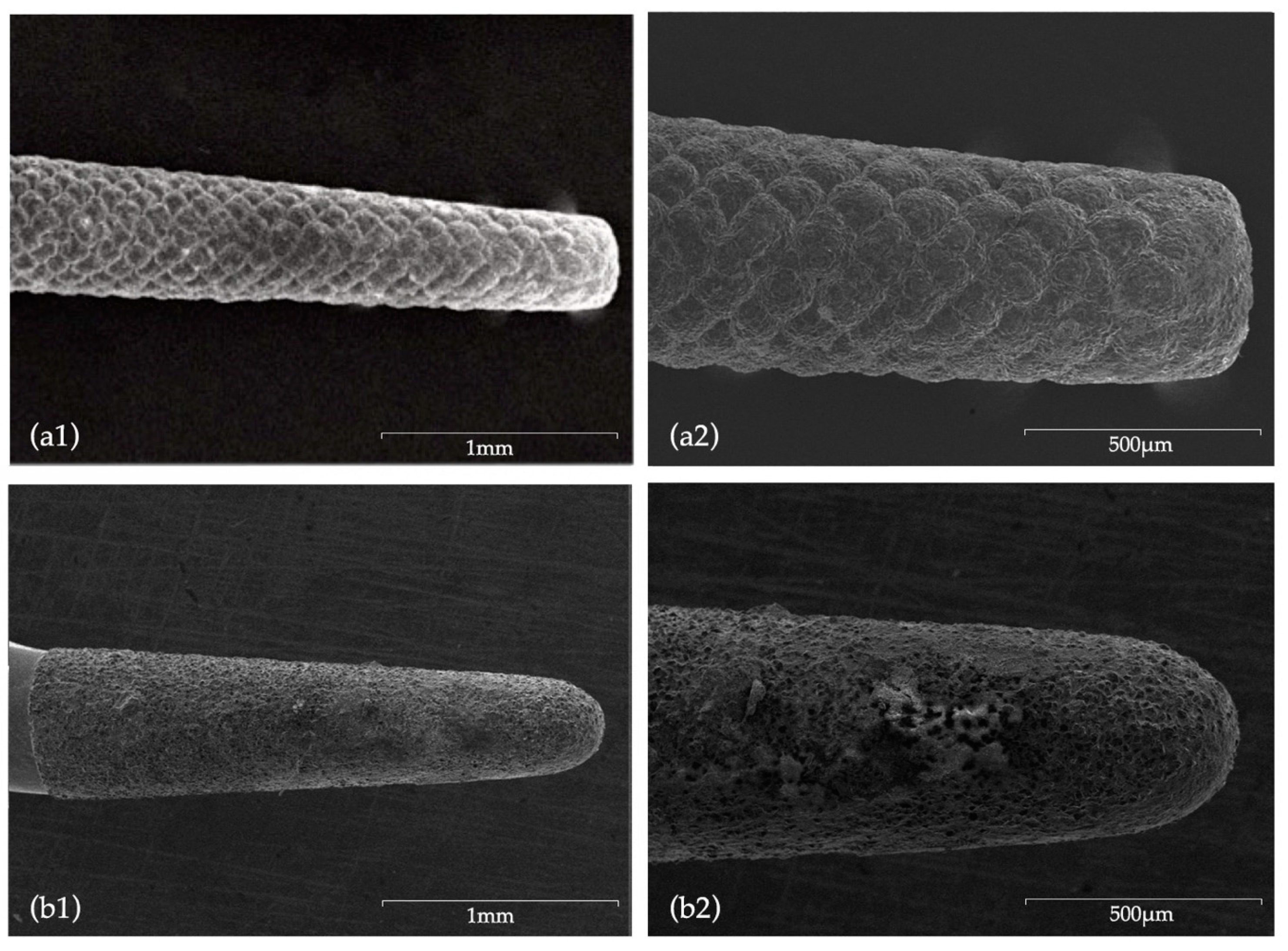Biomedicines 08 00383 g006