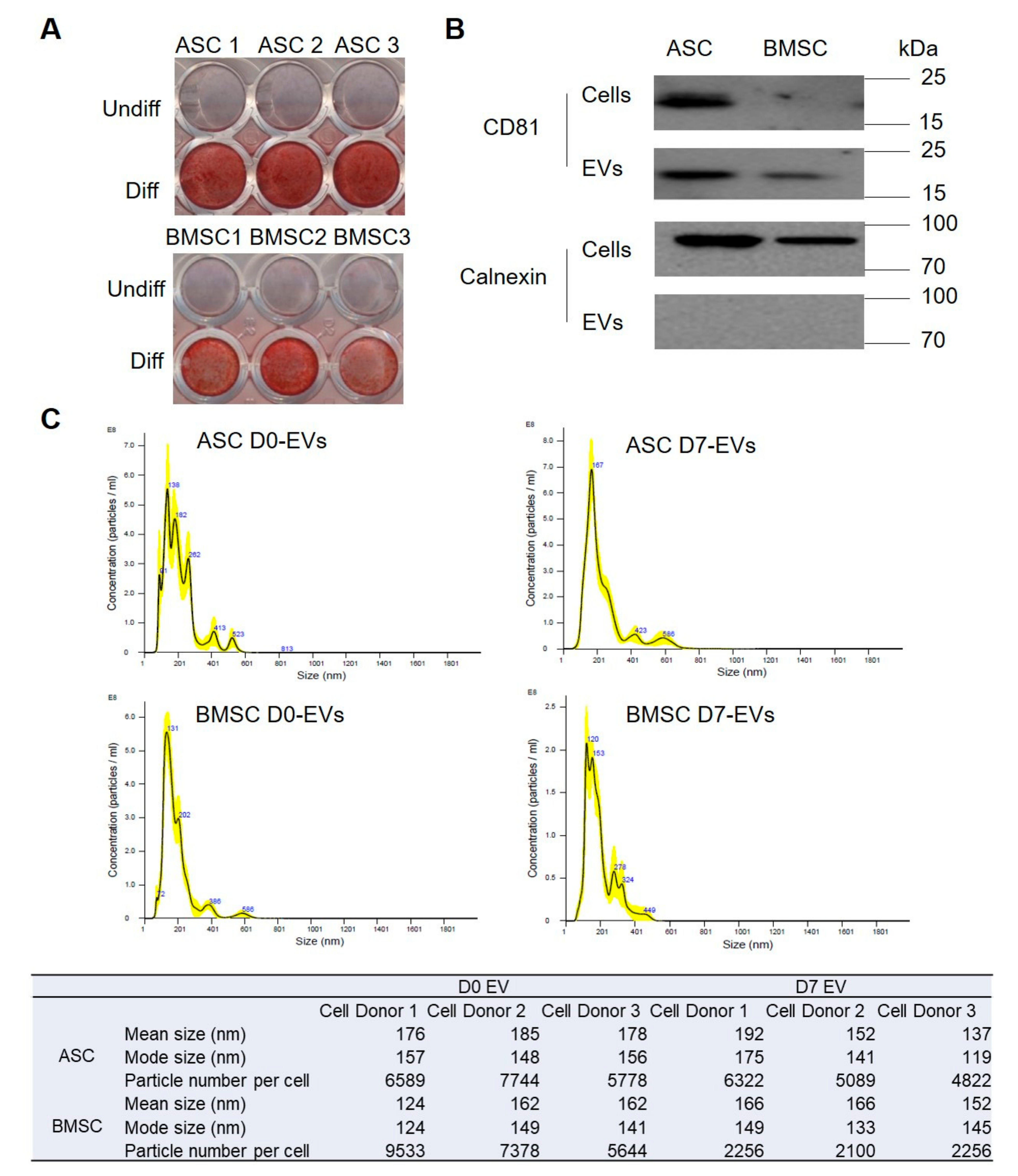 Biomedicines 08 00387 g001 Biomedicines 08 00387 g001