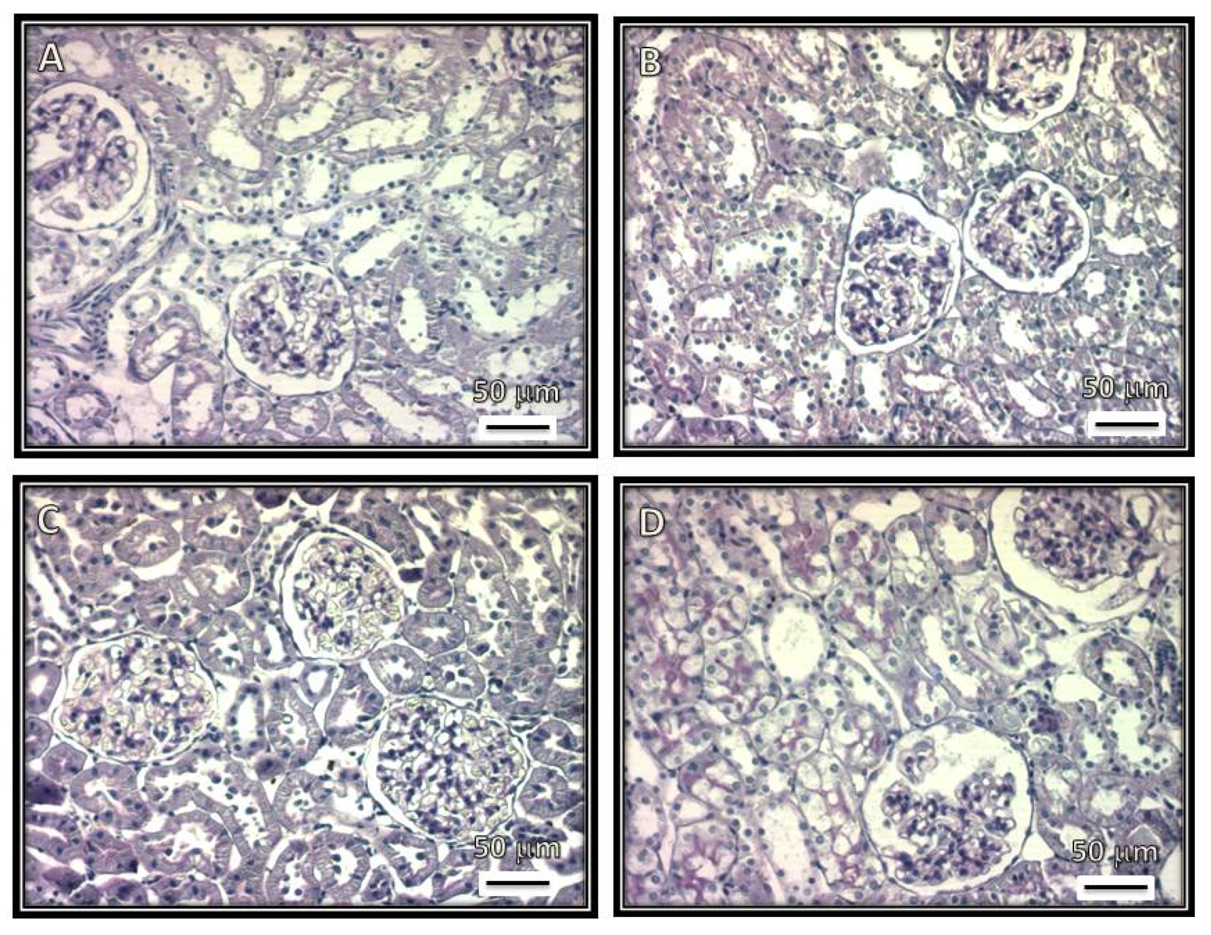 Biomedicines 08 00388 g002