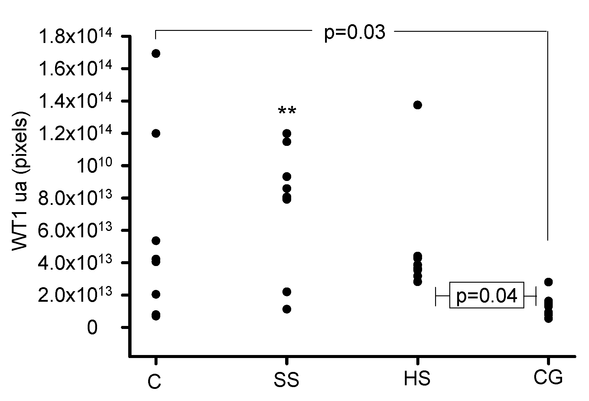 Biomedicines 08 00388 g007