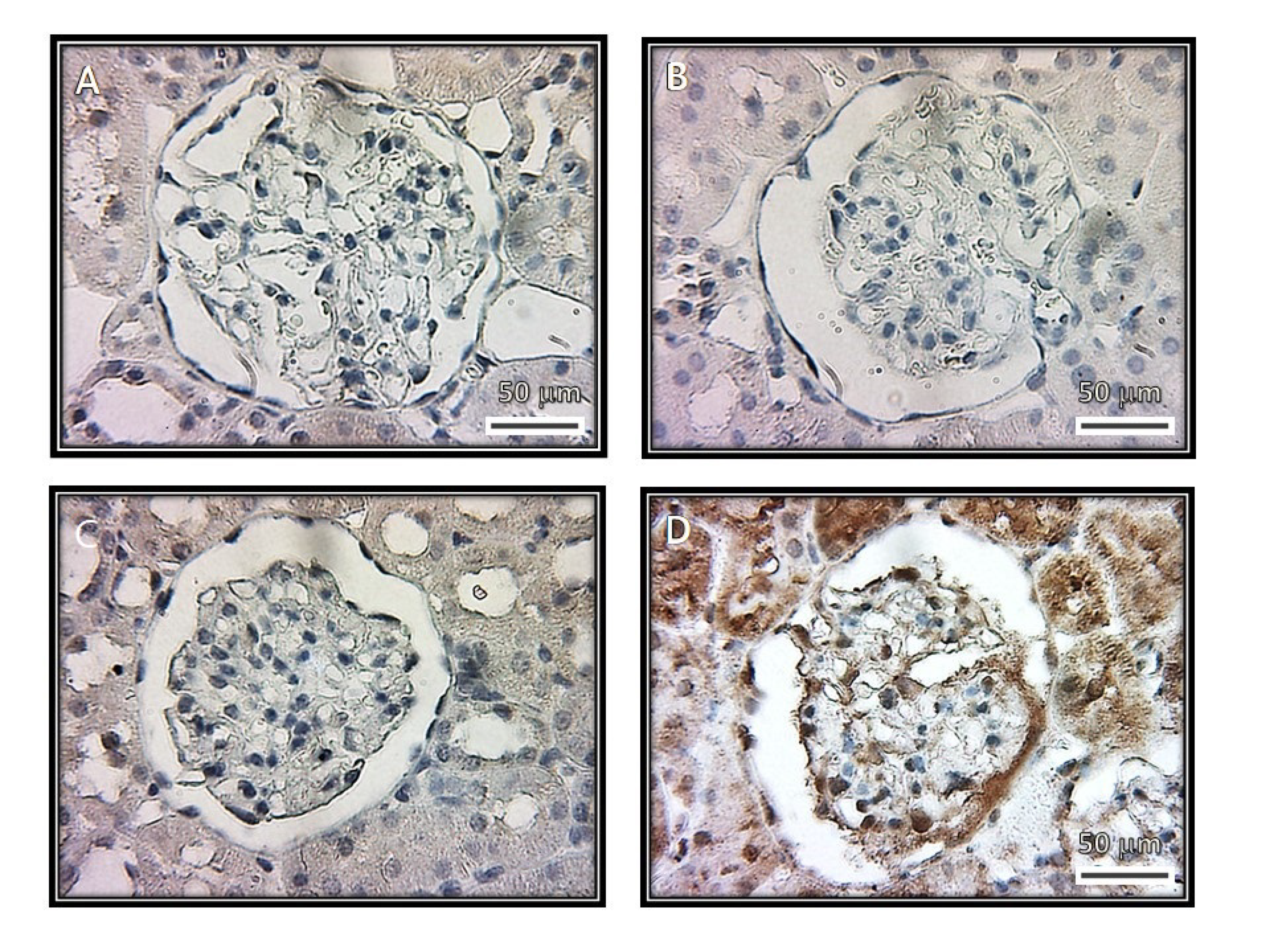 Biomedicines 08 00388 g008