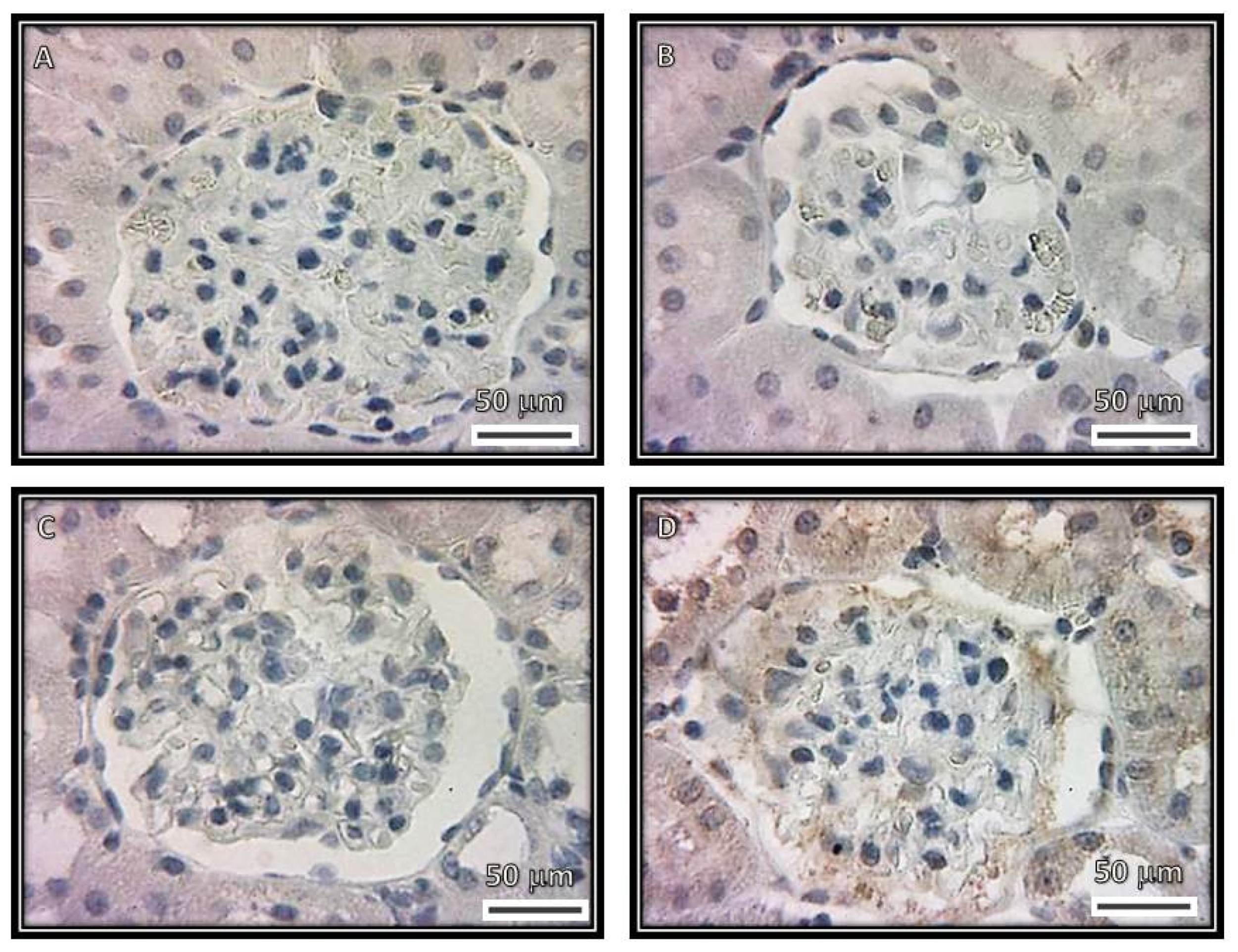 Biomedicines 08 00388 g010