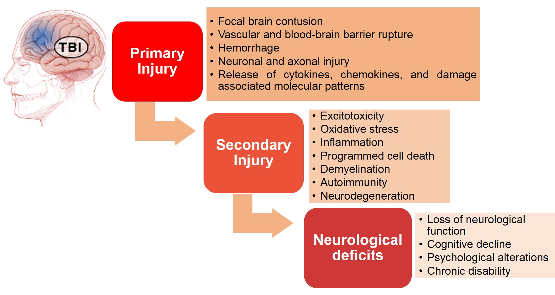 Biomedicines Free Full Text Revisiting Traumatic Brain Injury From biomedicines-free-full-text-revisiting-traumatic-brain-injury-from