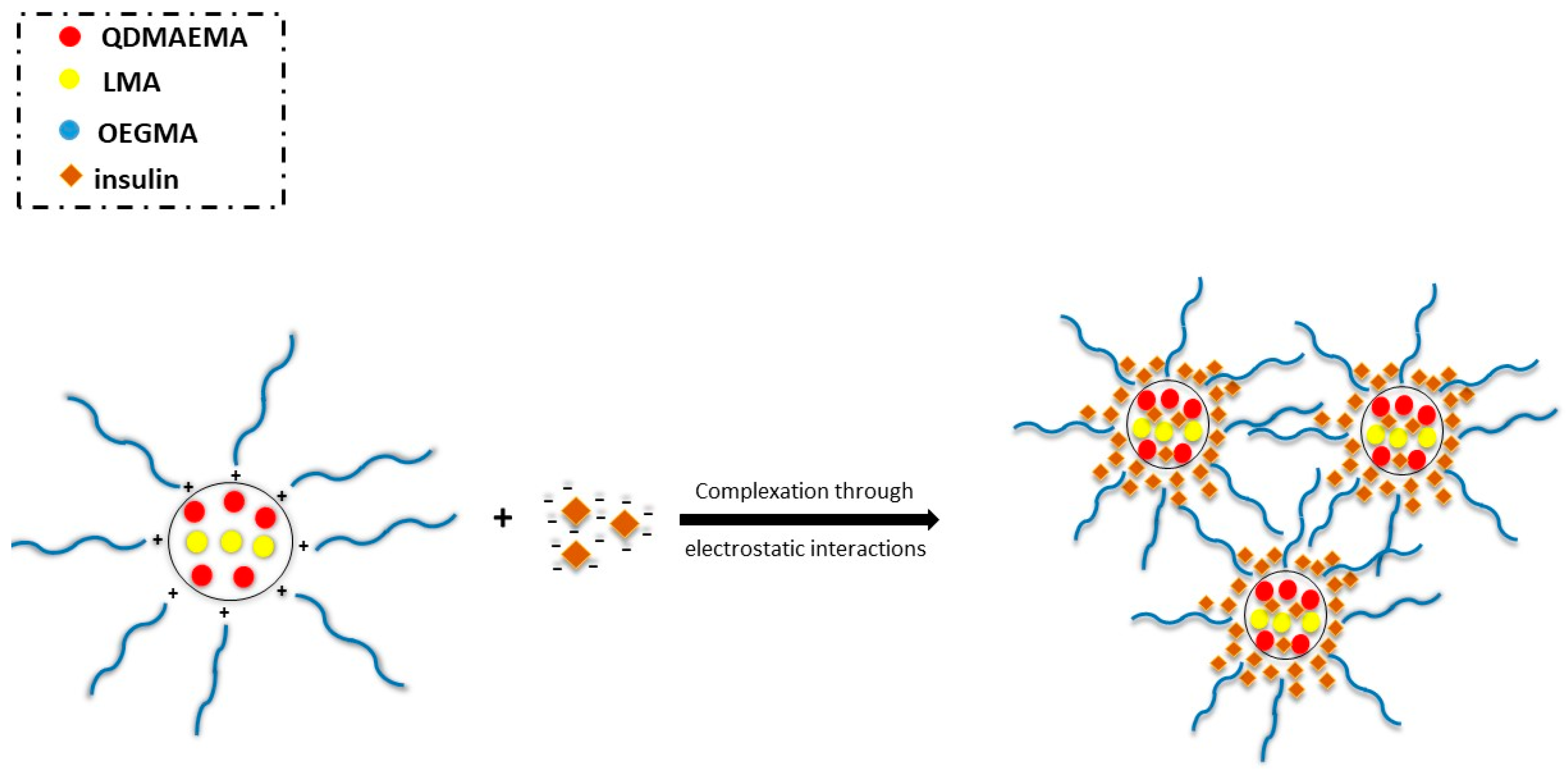 Biomedicines 08 00392 sch002