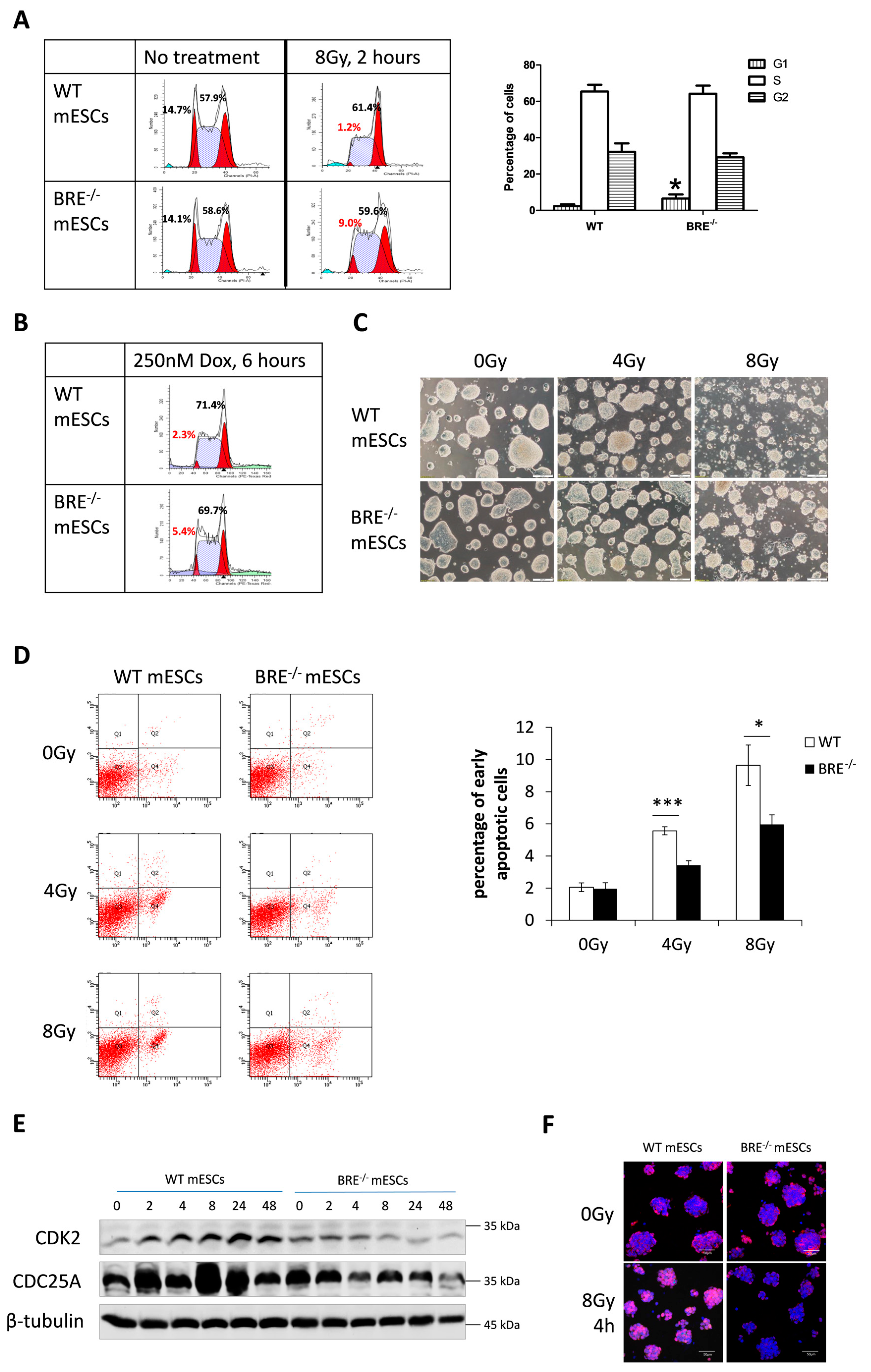 Biomedicines 08 00397 g003 Biomedicines 08 00397 g003