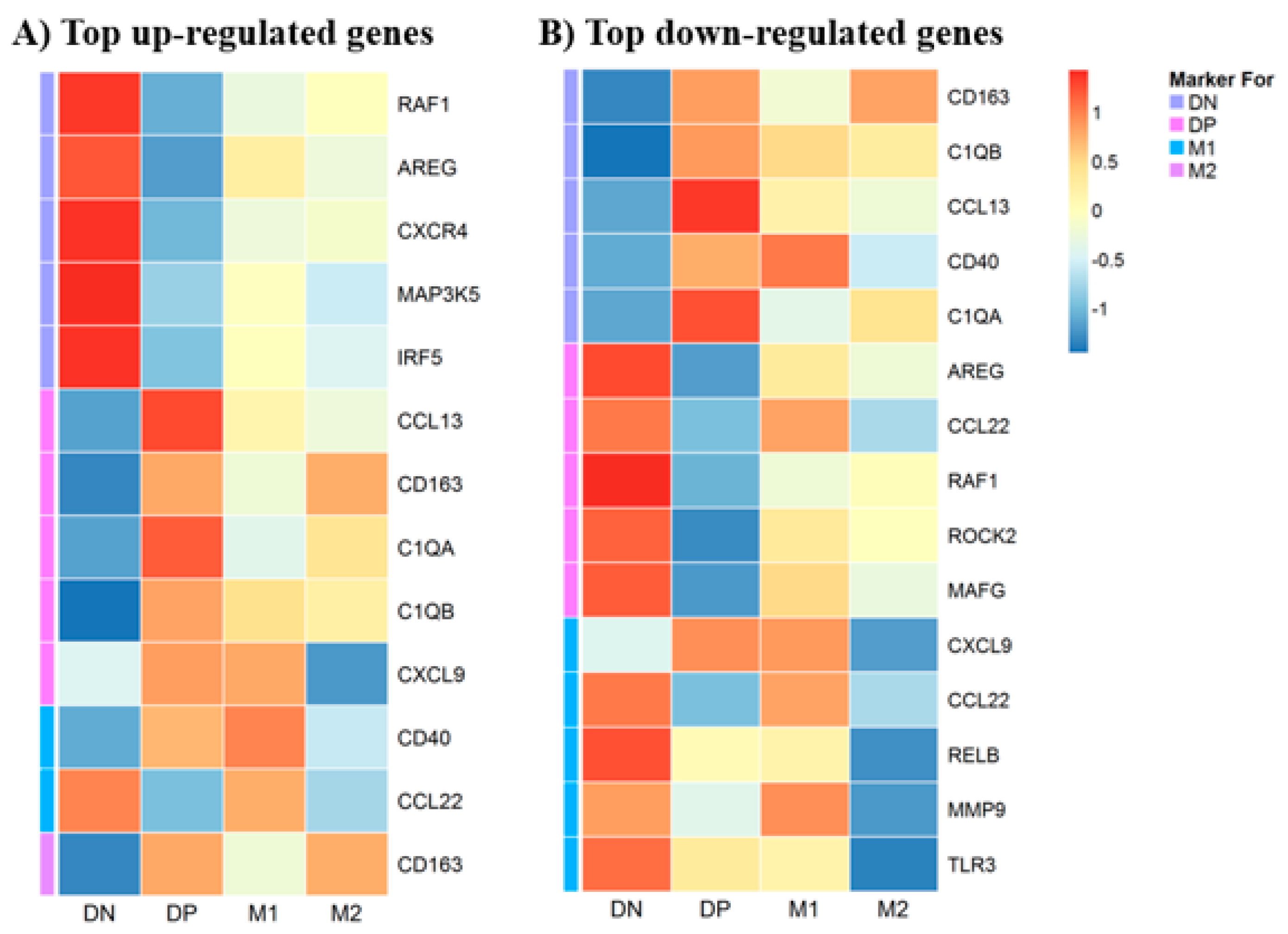 Biomedicines 08 00398 g007 Biomedicines 08 00398 g007