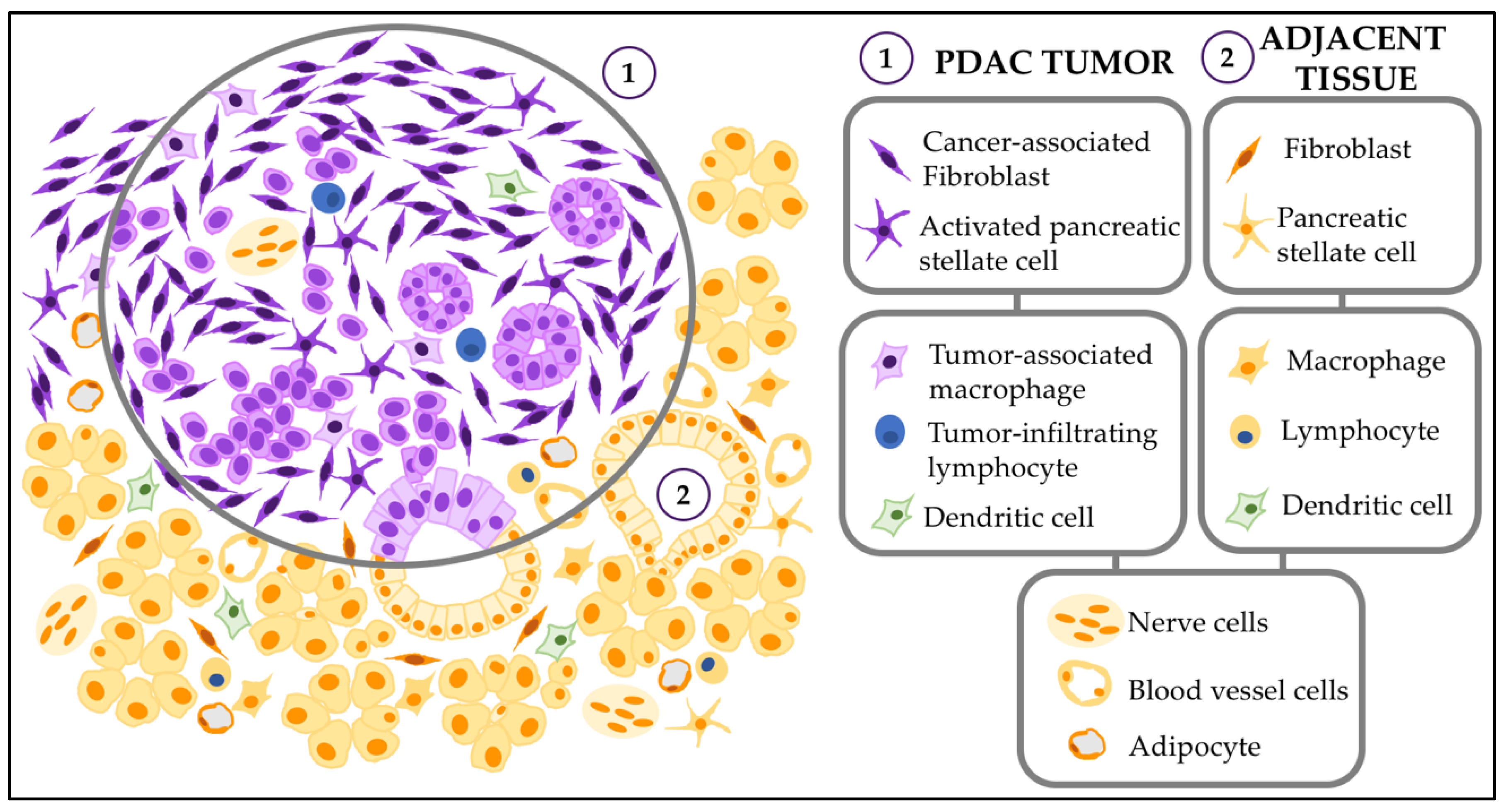 Biomedicines 08 00401 g003