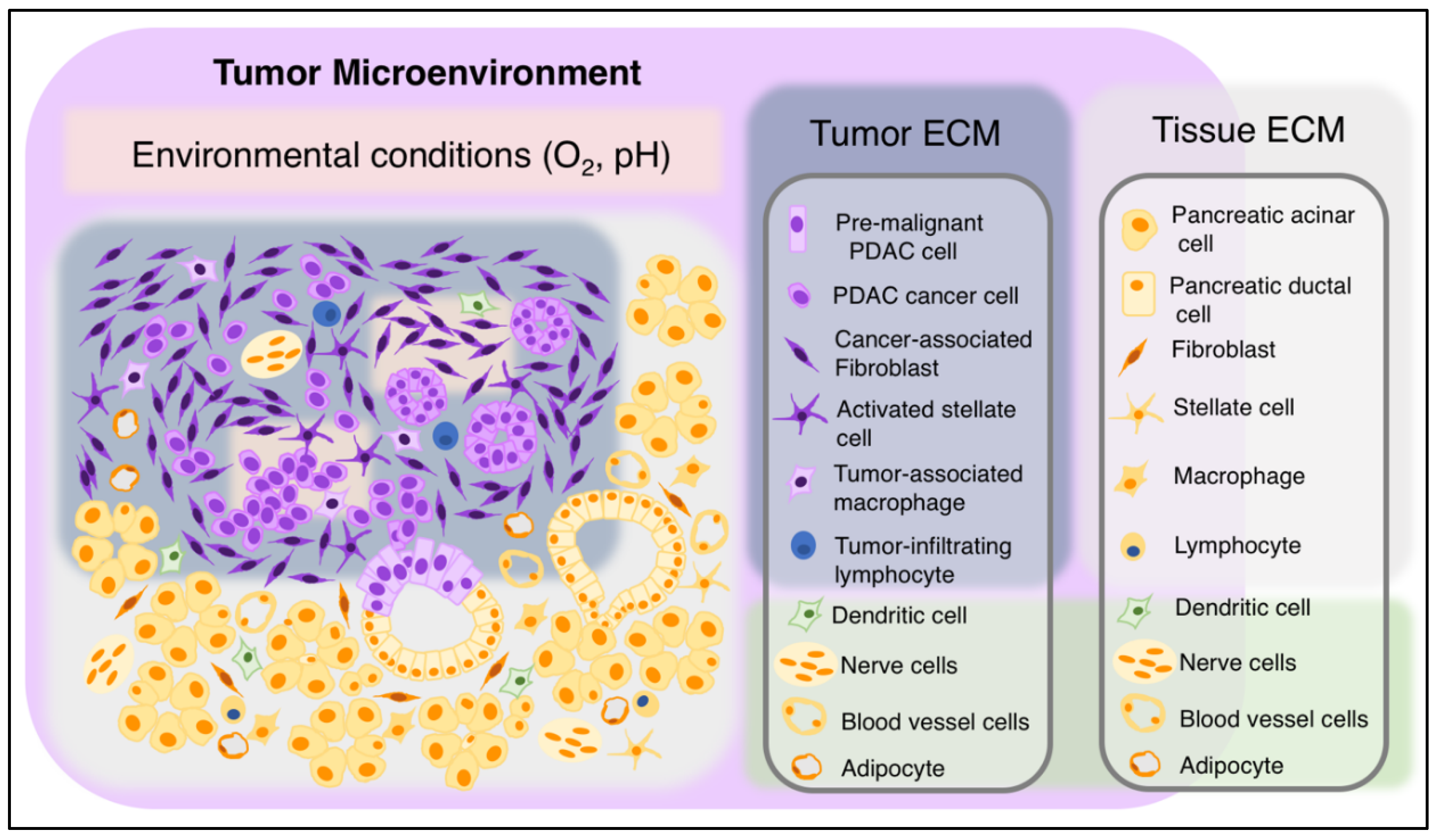 Biomedicines 08 00401 g004