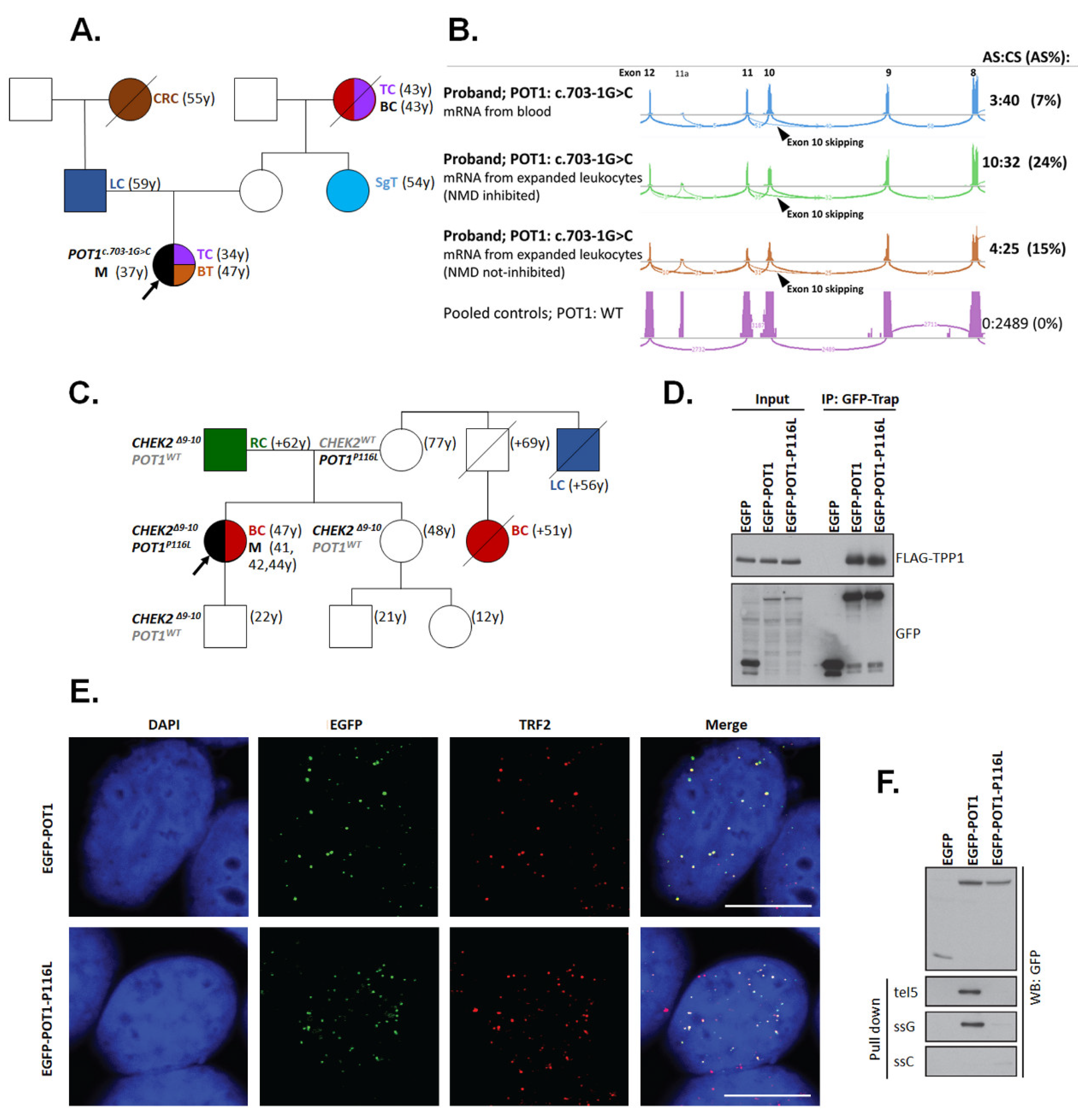 Biomedicines 08 00404 g002 Biomedicines 08 00404 g002