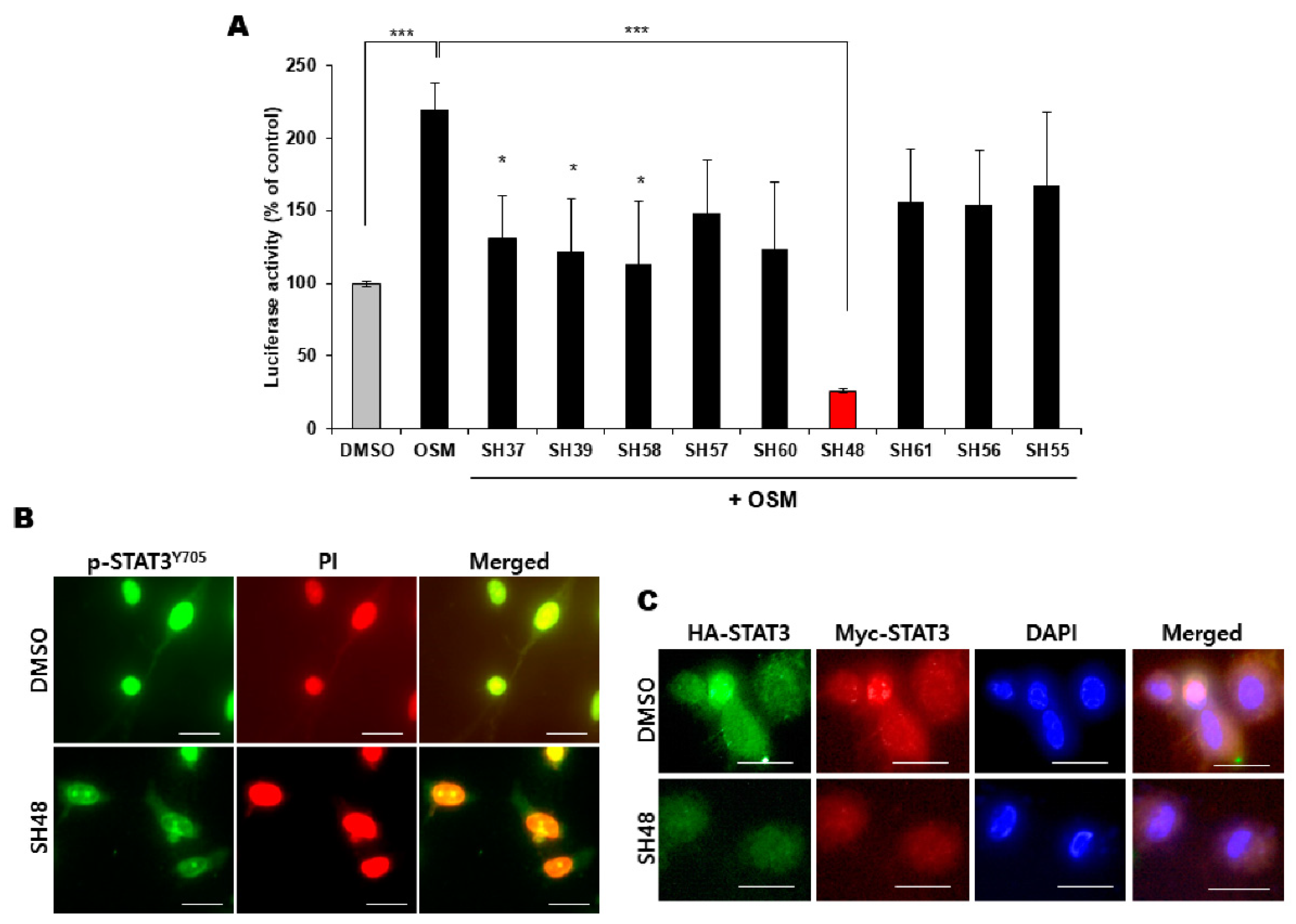 Biomedicines 08 00407 g002