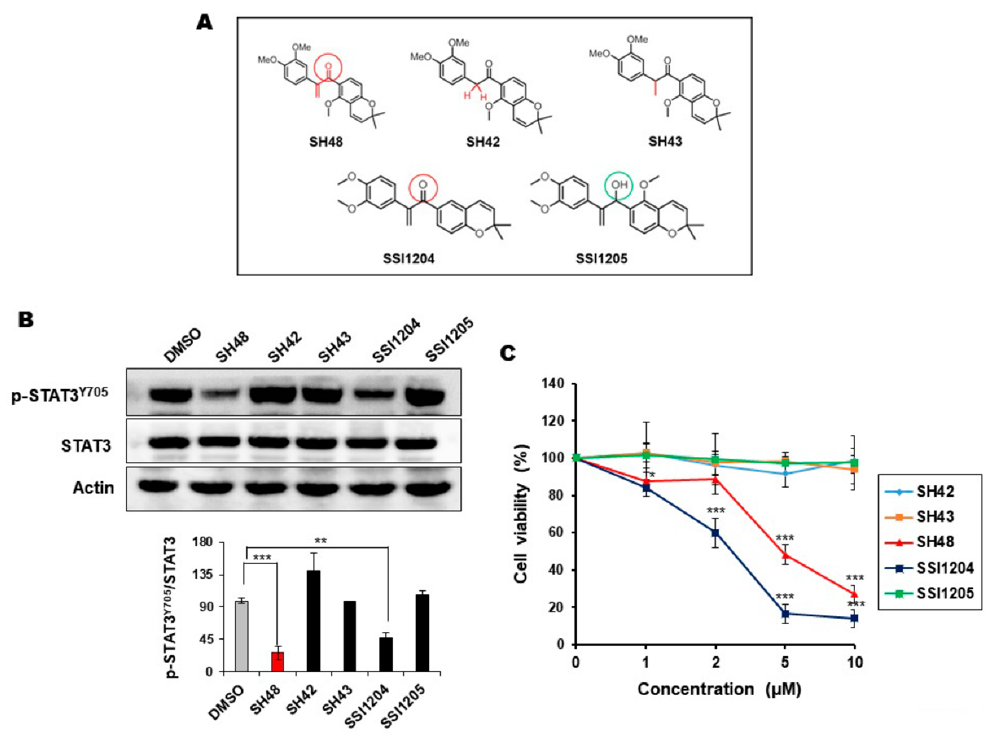 Biomedicines 08 00407 g003